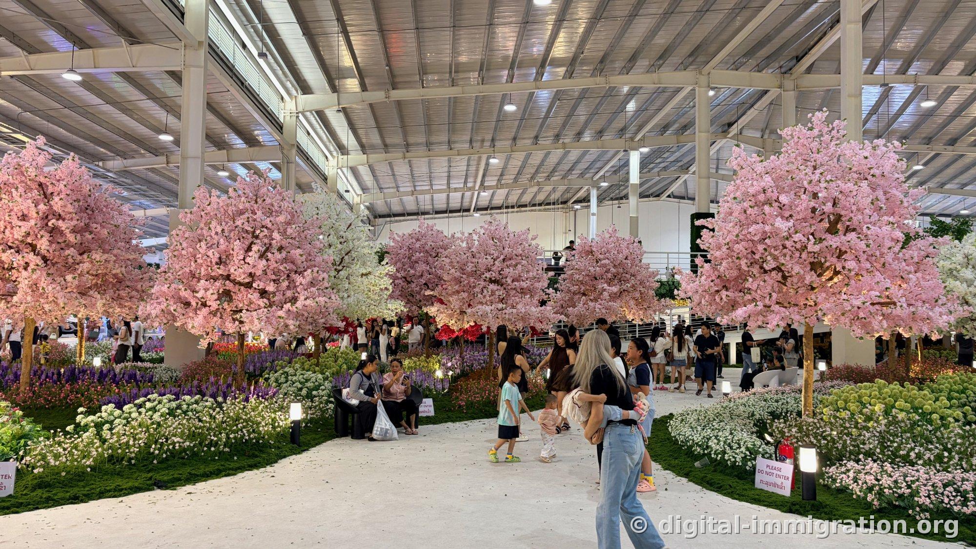 Indoor warehouse space with artificial pink and white cherry blossom garden, families walking through flower beds