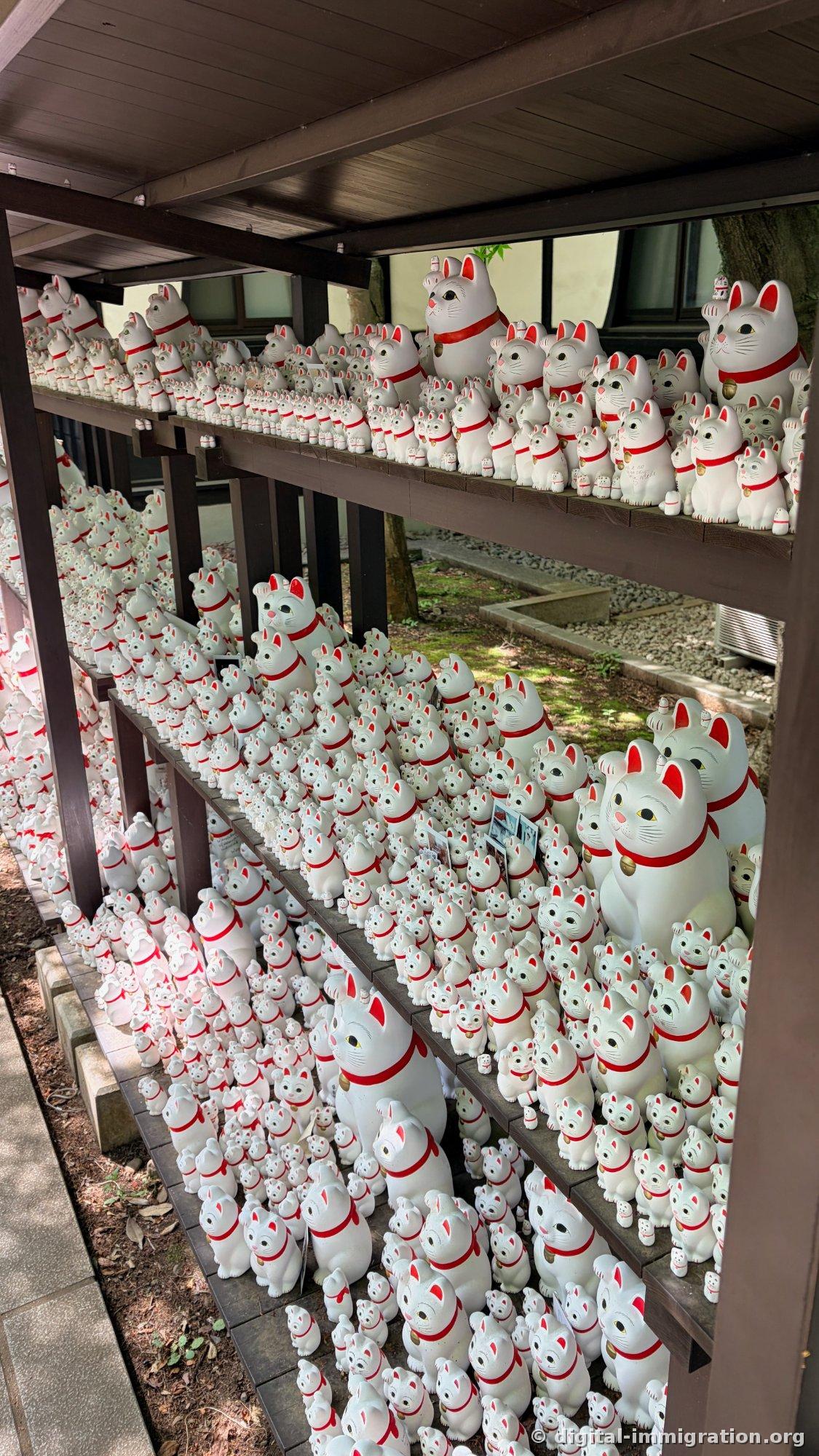 An offering stand with multiple wooden shelves packed densely with white beckoning cats of different sizes
