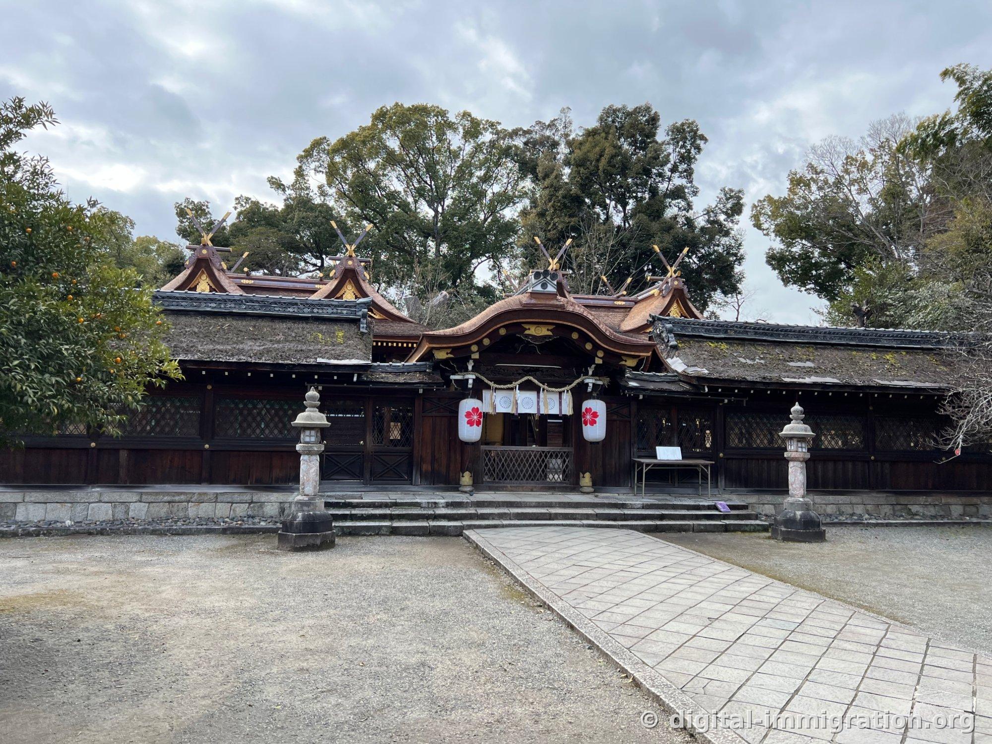 The main shrine and inner sanctuary of Hirano Shrine with multiple pairs of golden decorative finials rising from the roof, red cherry blossom lanterns and rope festoons hanging