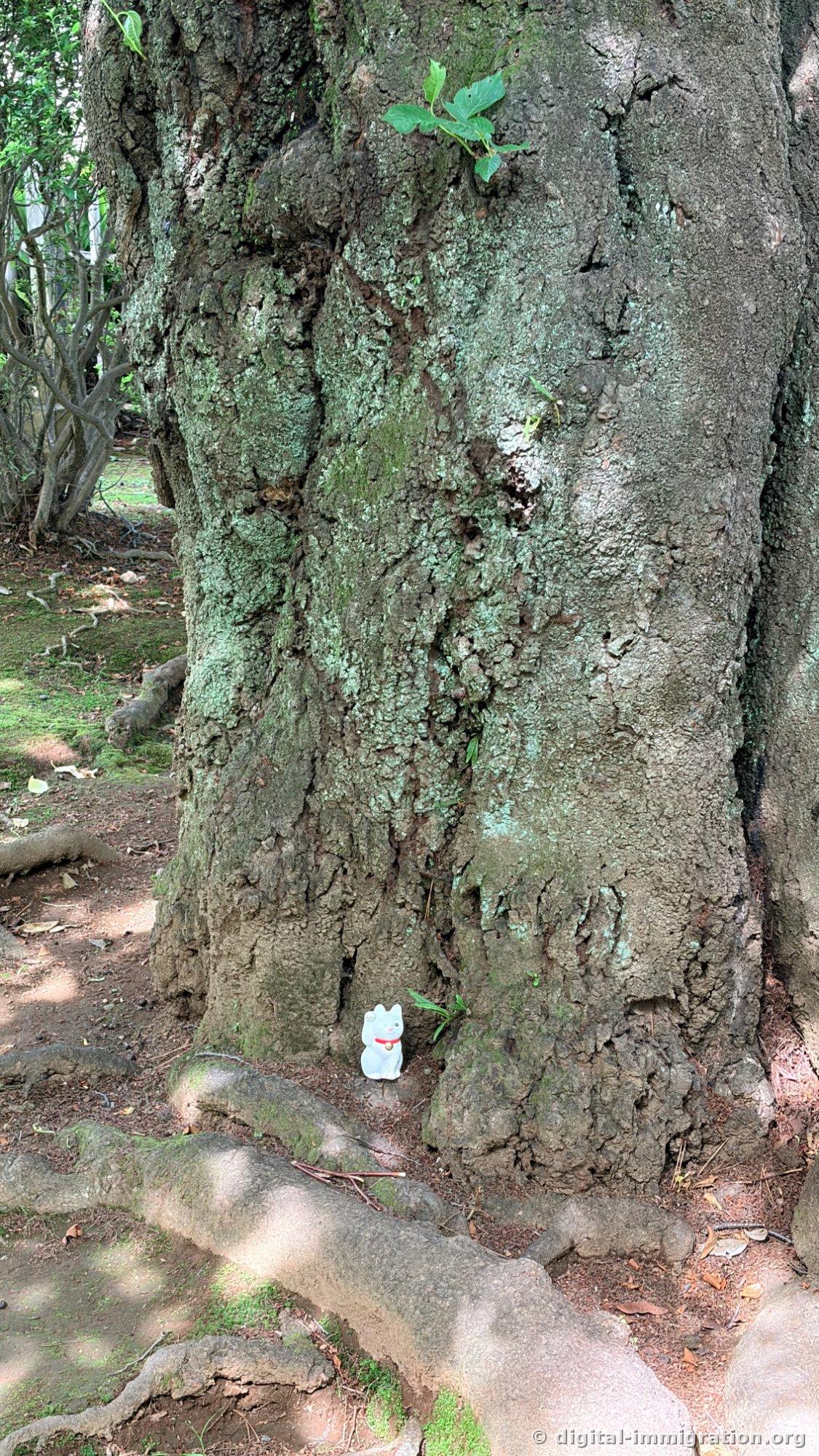 A tiny white cat figurine sitting alone beneath the roots of an ancient moss-covered tree