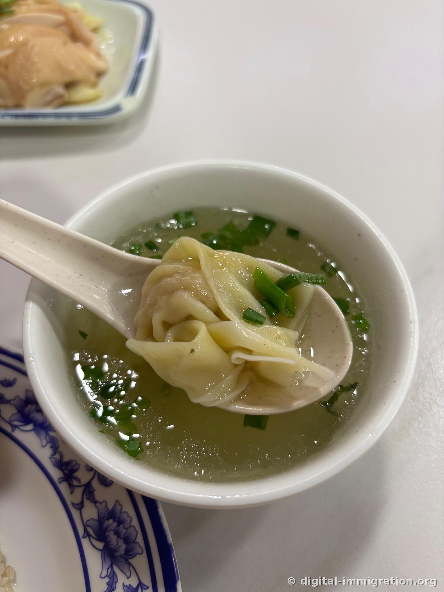 A single wonton lifted on a Chinese ceramic spoon. Thin wonton skin trails in the broth with scallions on top