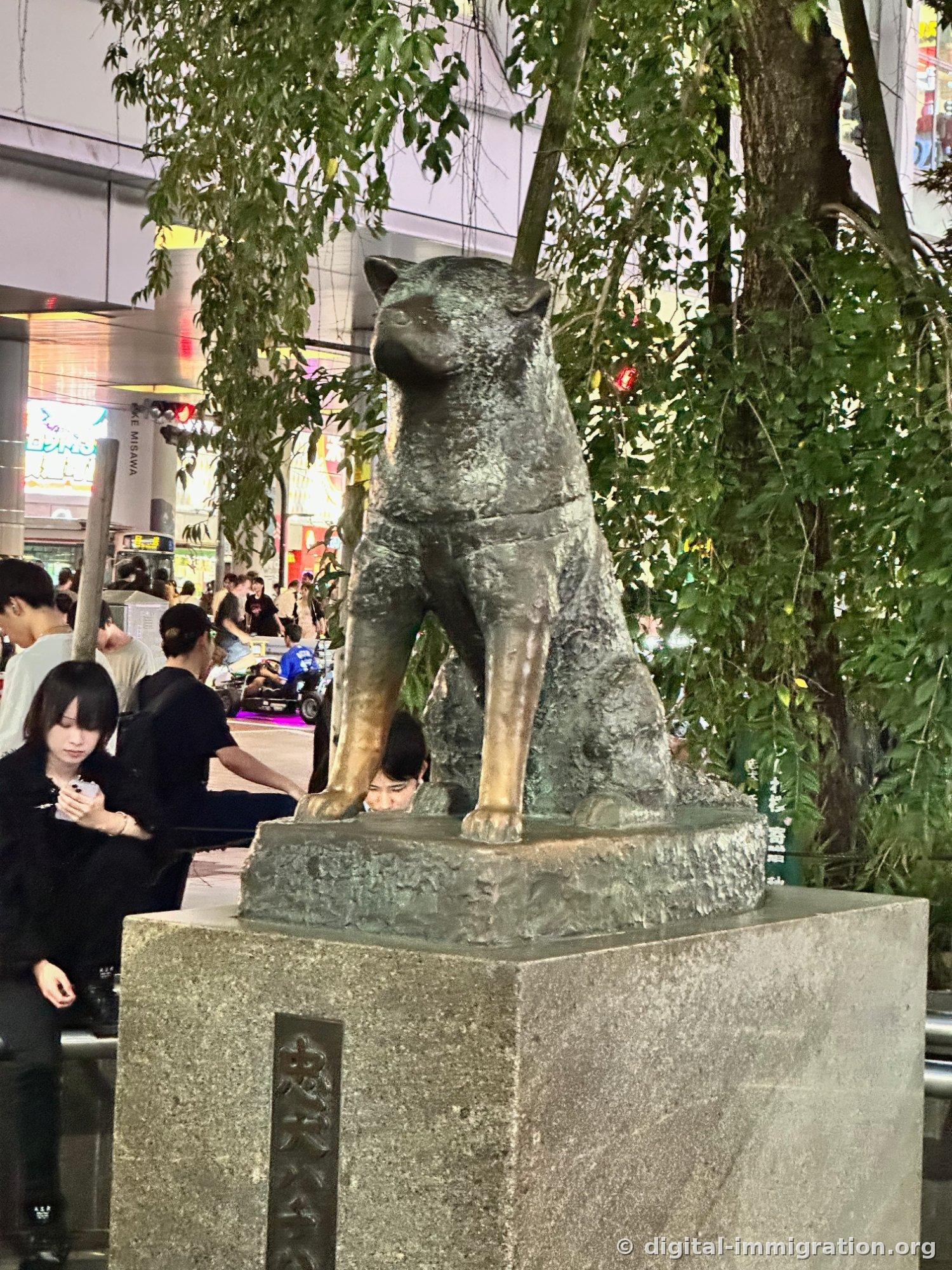 夜、木の下の照明を受けて緑色に光るハチ公像と『忠犬ハチ公』プレート