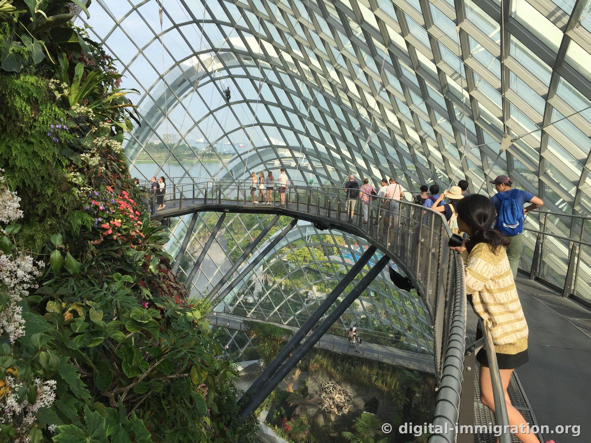 Visitors walking on the suspended walkway of the Cloud Forest with red flowers blooming on the green wall on the left and the sea and ships visible beyond the glass
