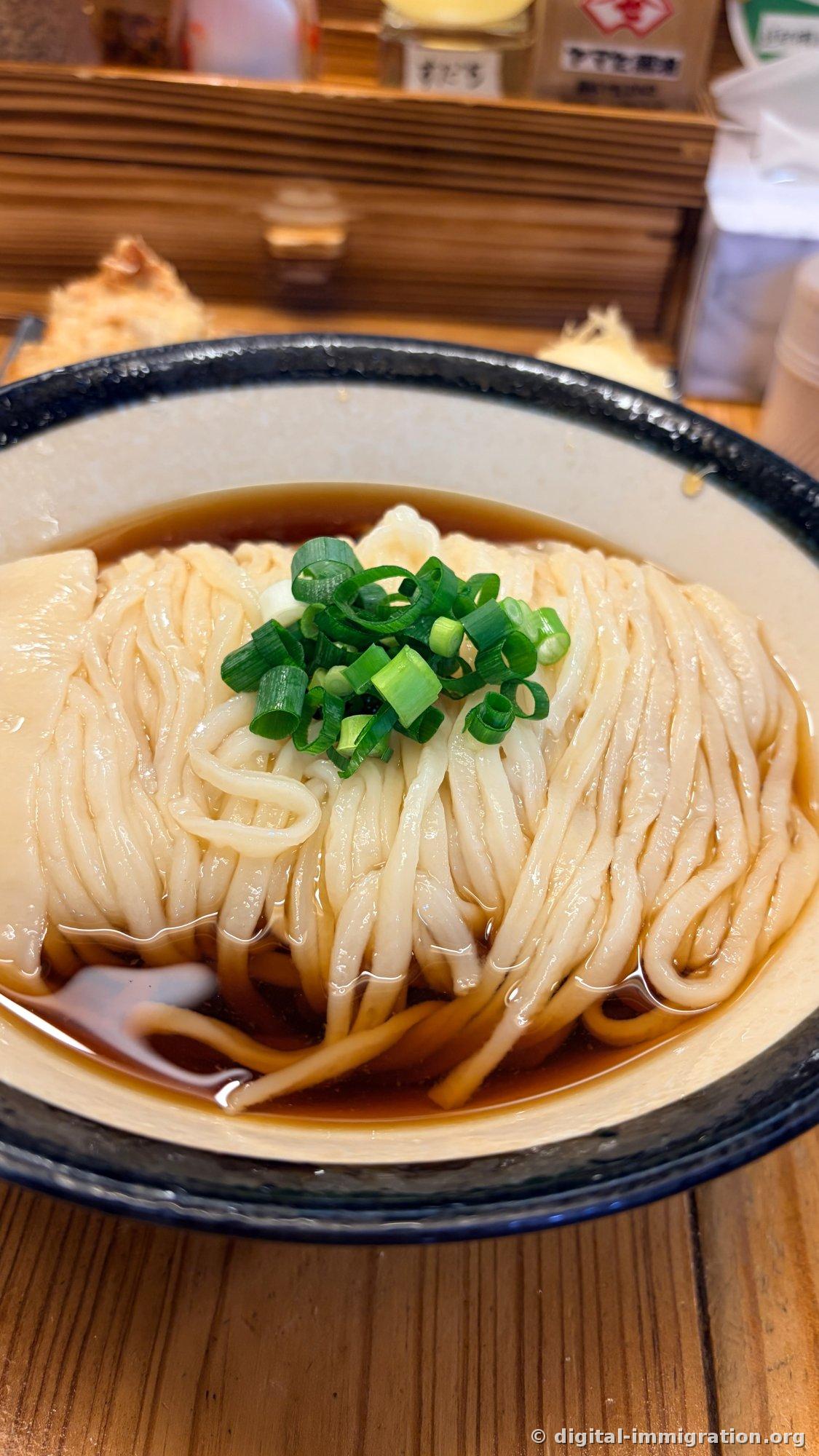 ネギだけを載せたあっさりとしたうどん一杯を近くから撮影した写真。太くて白い麺が醤油汁に浸かっている