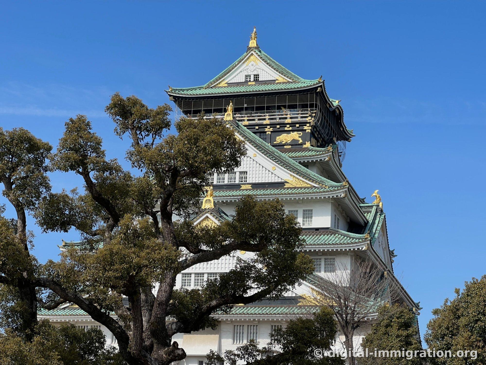 Gros plan des couches supérieures de la tour de guet du château d'Osaka entre les branches des arbres. On voit les ornements tigre dorés et les ornements phénix sous l'avant-toit