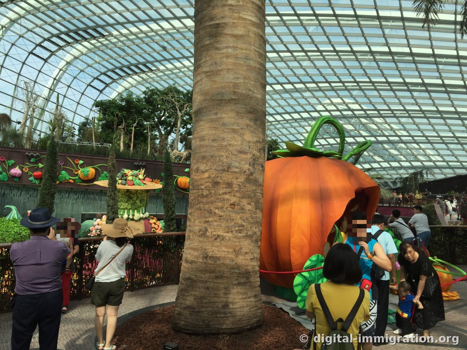 A large orange pumpkin sculpture beside the palm trunk in the Flower Dome with vegetable bas-relief decorations on the wall