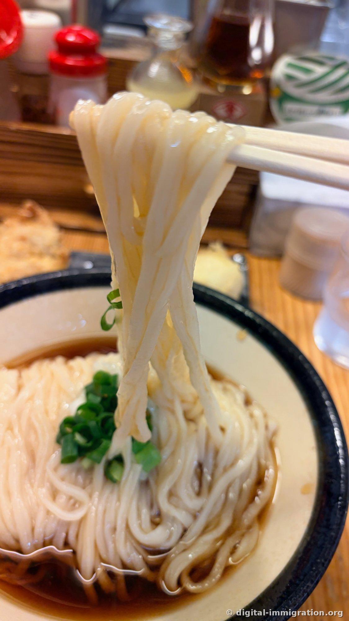 白いヘアネットをかぶった調理師が背を向けて麺を茹でている姿。上に玉じゃくしと笊が掛かっており、手前のレジ台にカメ2匹が座っている