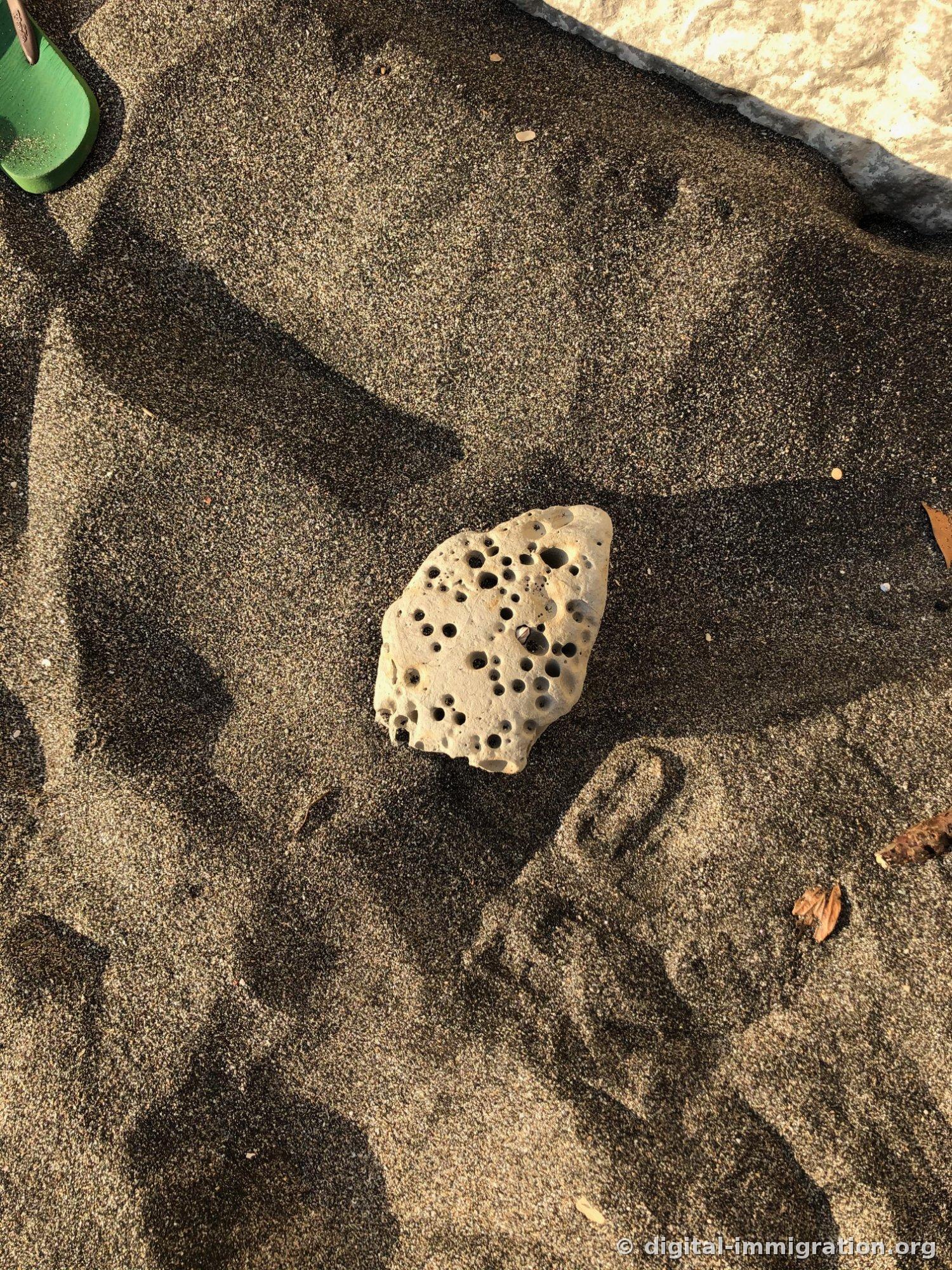 Une pierre de couleur claire percée de trous repose sur le sable noir avec une poignée de pelle verte visible en haut à gauche