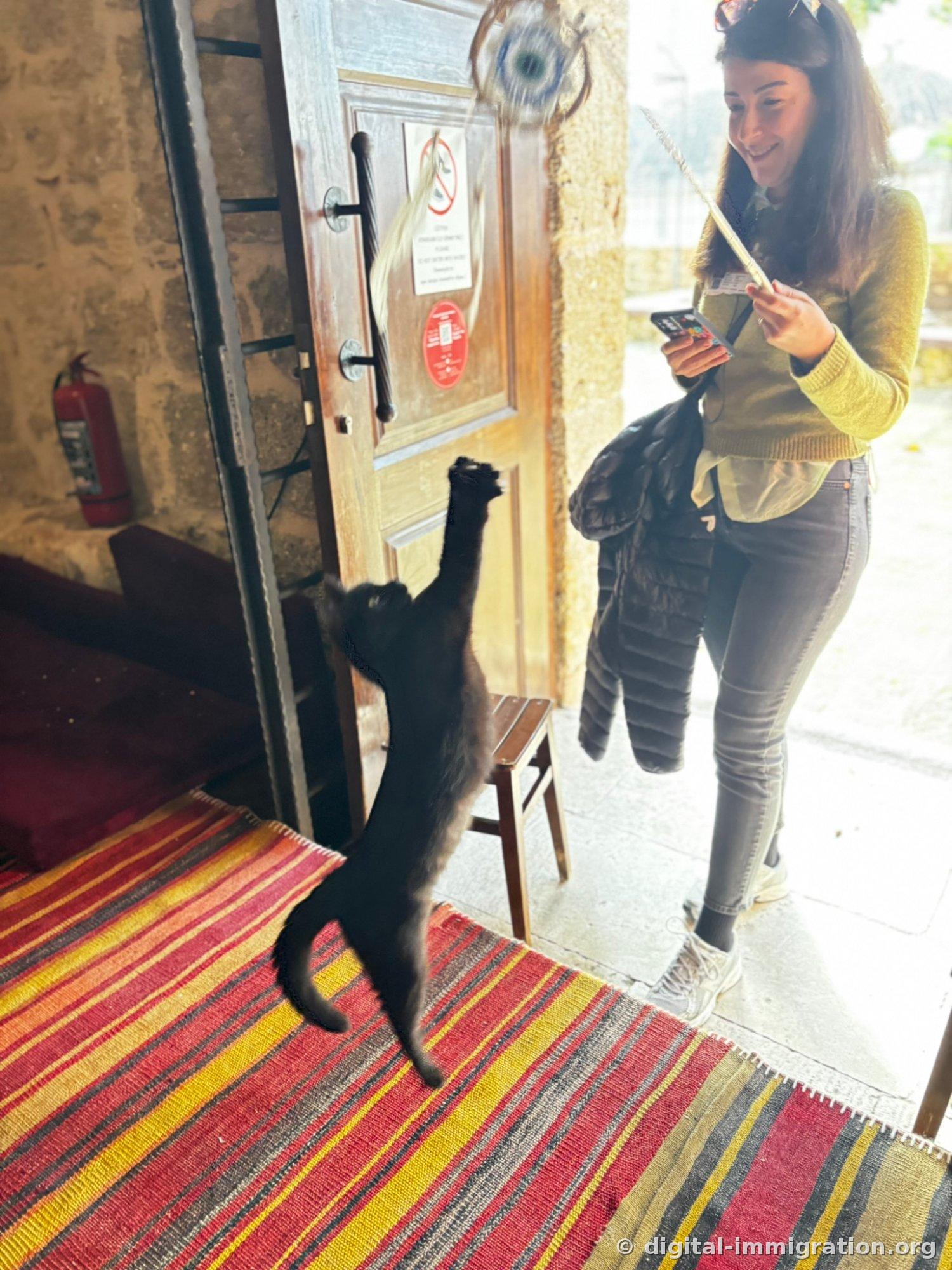 Devant la porte en bois du mevlevihane, un employé tenant un jouet à plumes face à un chat noir debout sur ses pattes arrière, avec un amulette nazar bleue suspendue au-dessus de la porte