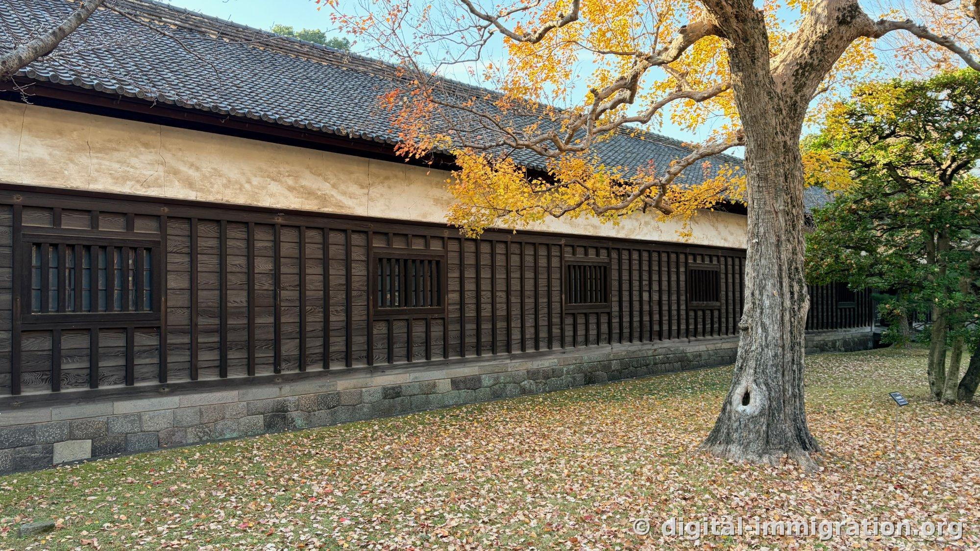 Un long bâtiment ancien avec des murs de terre et treillage en bois, avec une épaisse couche de feuilles de ginkgo jaunes sur l'herbe devant