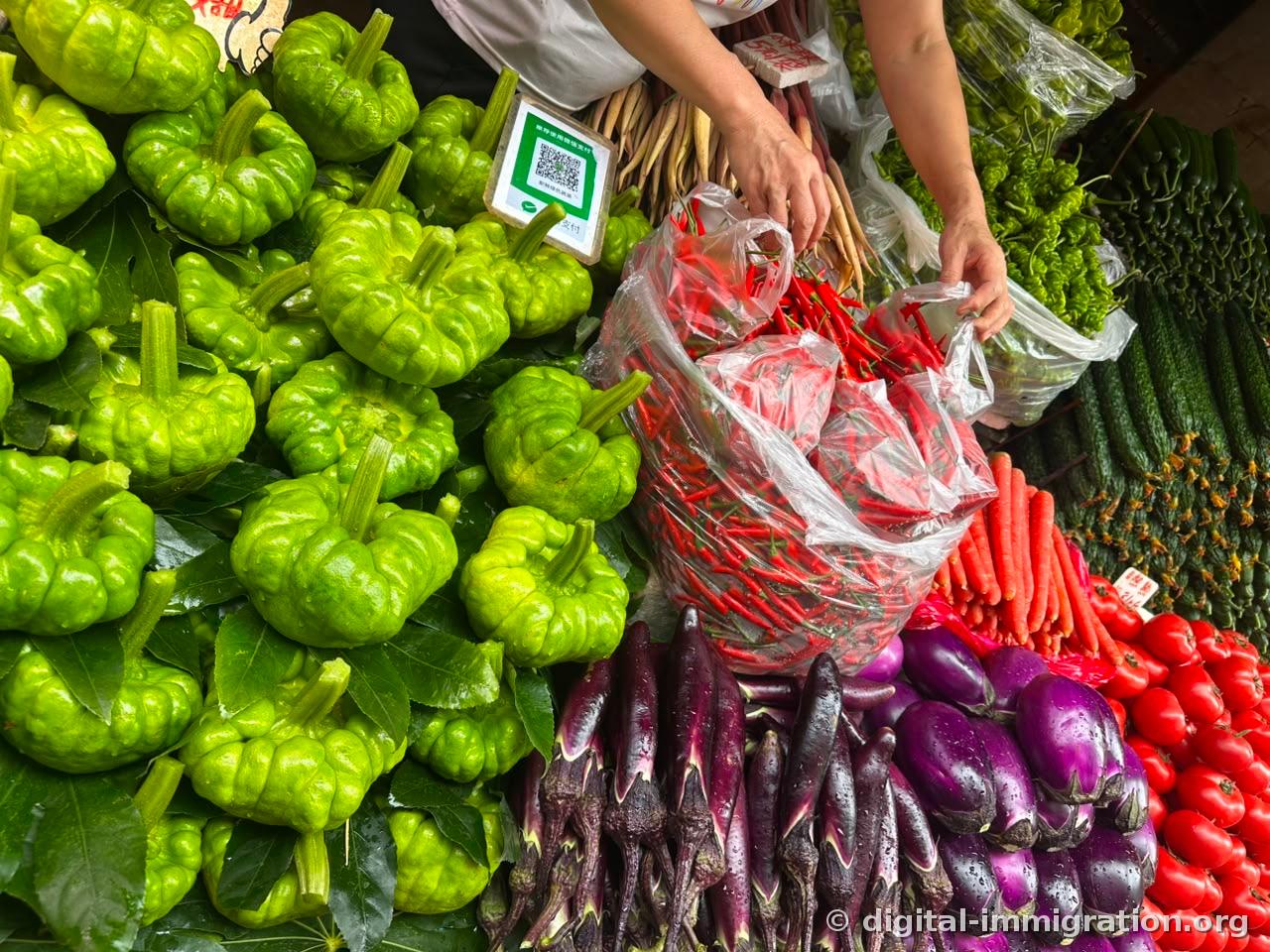 Fluorescent green squash, piles of red chilies in plastic bags, long purple eggplants and violet eggplants, tomatoes and carrots stacked on a vegetable counter with a vendor's hands organizing