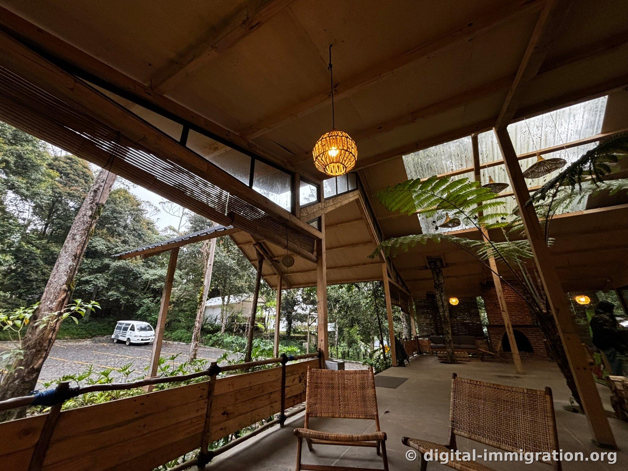 Interior of a wooden café open to the forest, with rattan pendant lights and woven collapsible chairs, and through the window ferns and a parked white van