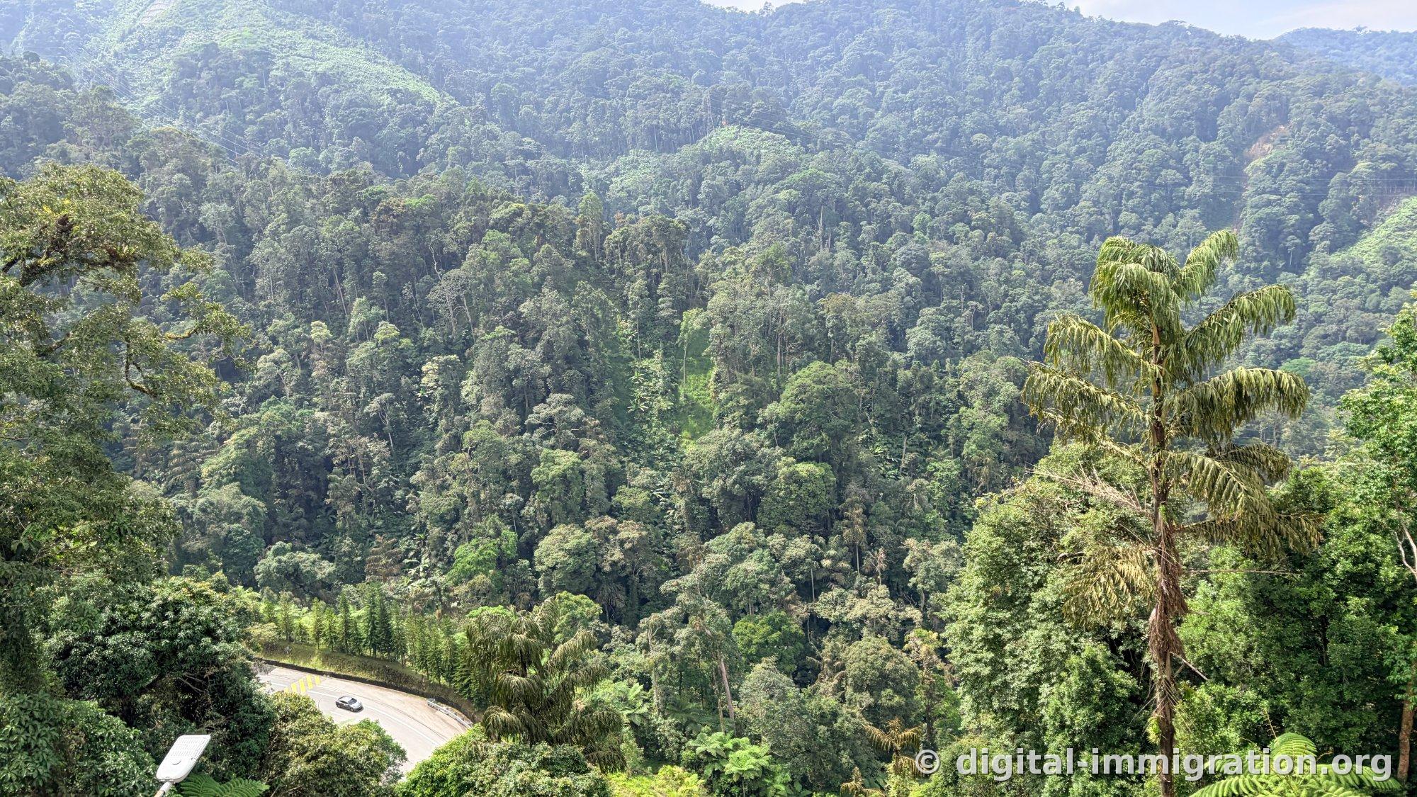 Un versant de montagne recouvert d'une jungle tropicale dense, une route faisant de grands virages épingles serpentant sous la montagne, une voiture sur la route