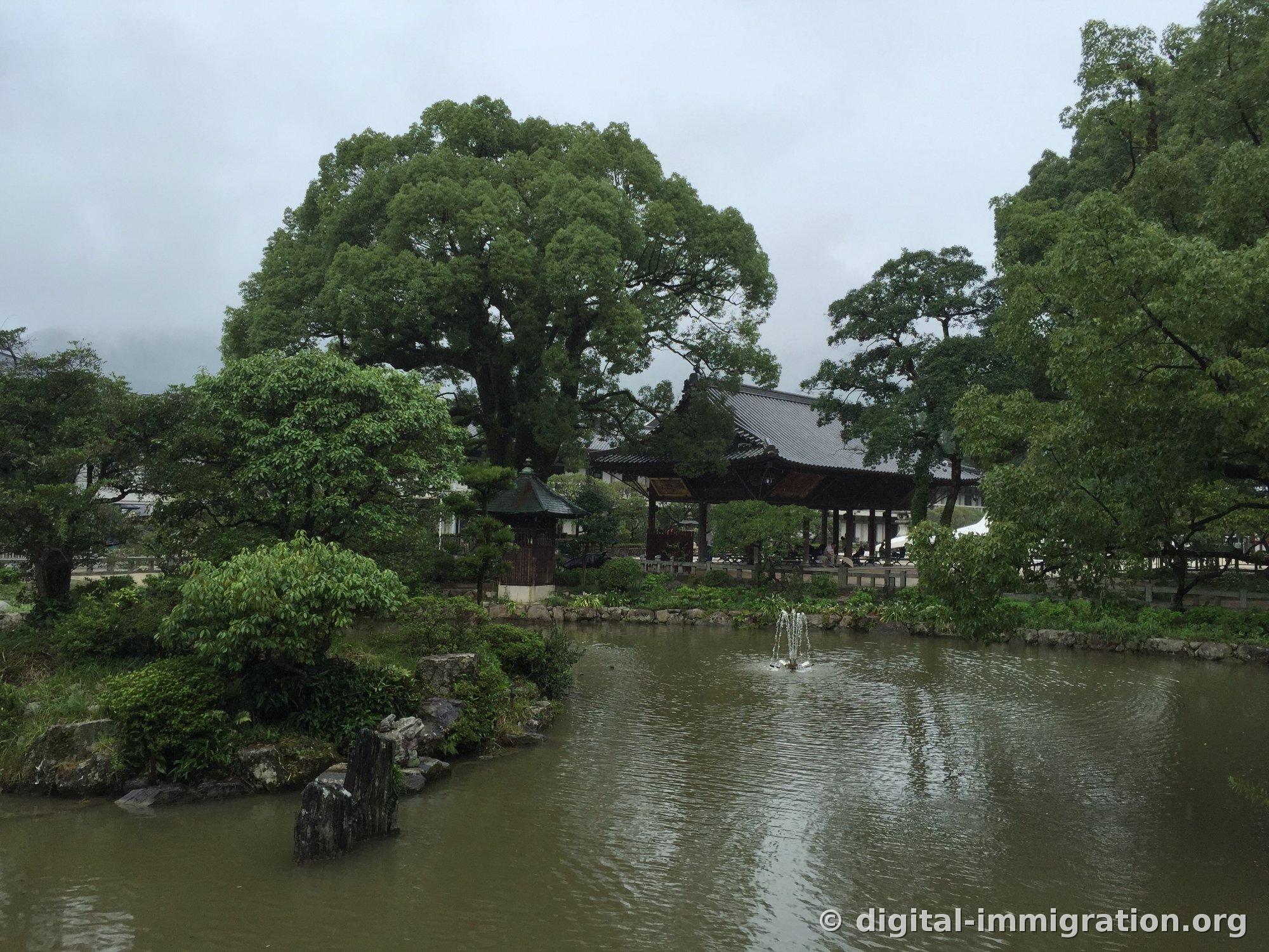 Rainy pond scene with small fountain, tile-roofed pavilion on the far side, and massive camphor tree in the shrine grounds