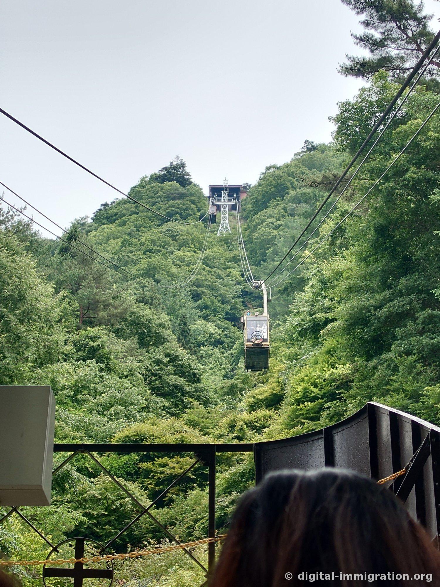 A cable stretching over thick green forest with a cream-colored gondola descending, the summit station building visible on the ridge above