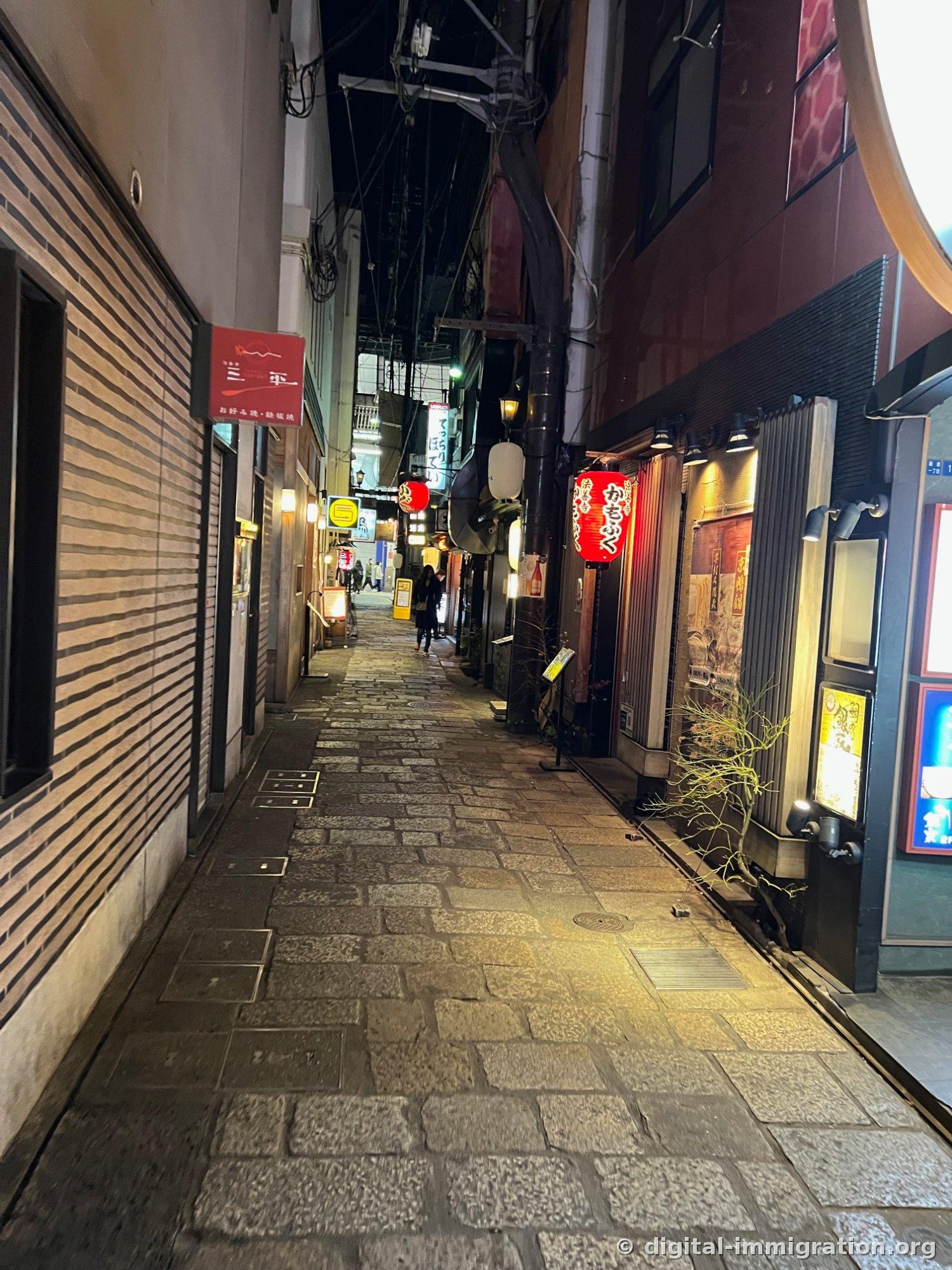 Ruelle pavée de pierre de Hozenji Yokocho la nuit, avec des lanternes rouges et des enseignes d'okonomiyaki et de poulpe de part et d'autre