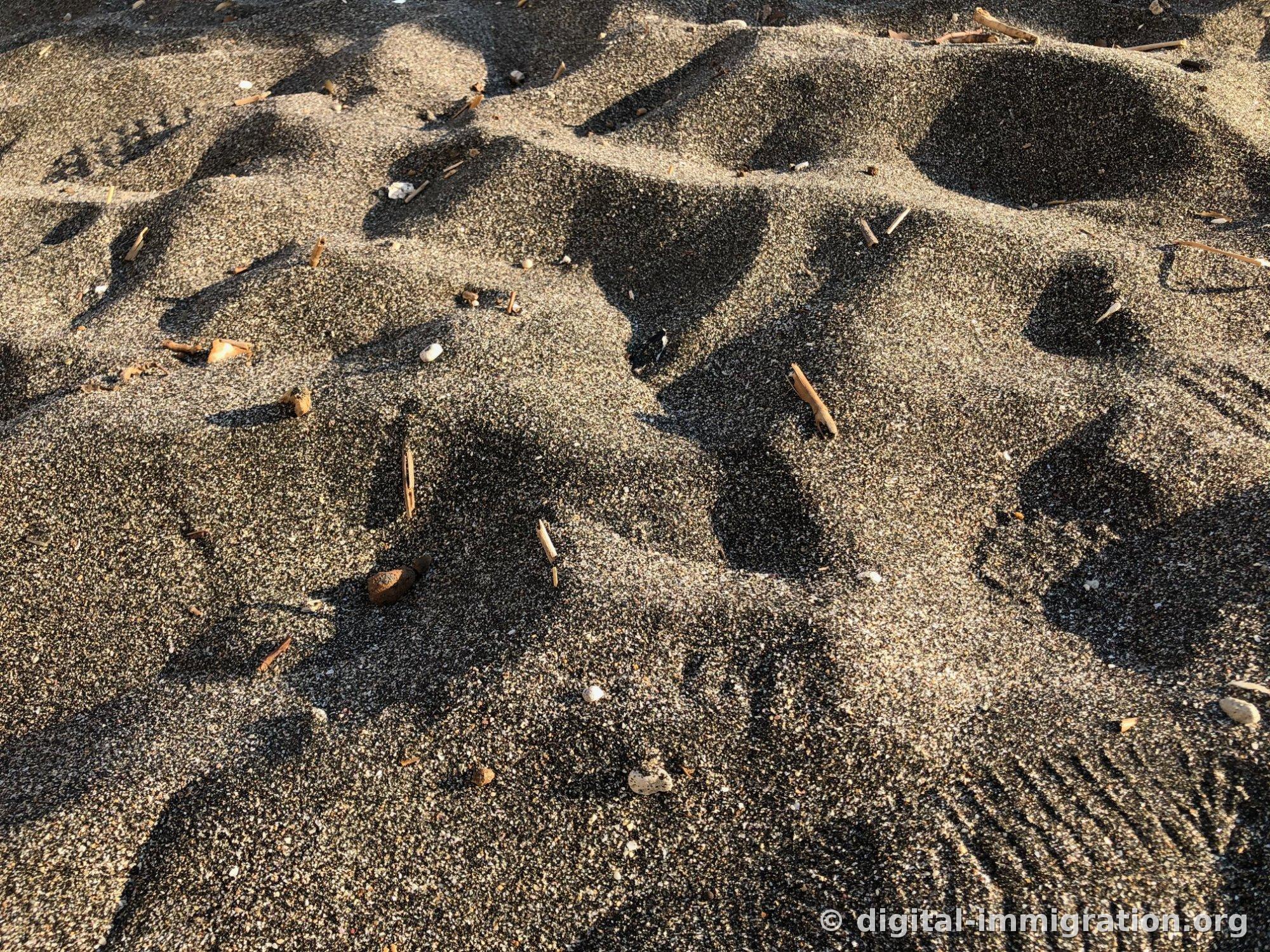La surface de la plage mélangée de sable noir et clair avec des empreintes de pas, des petits morceaux de bois et des coquillages dispersés, gros plan