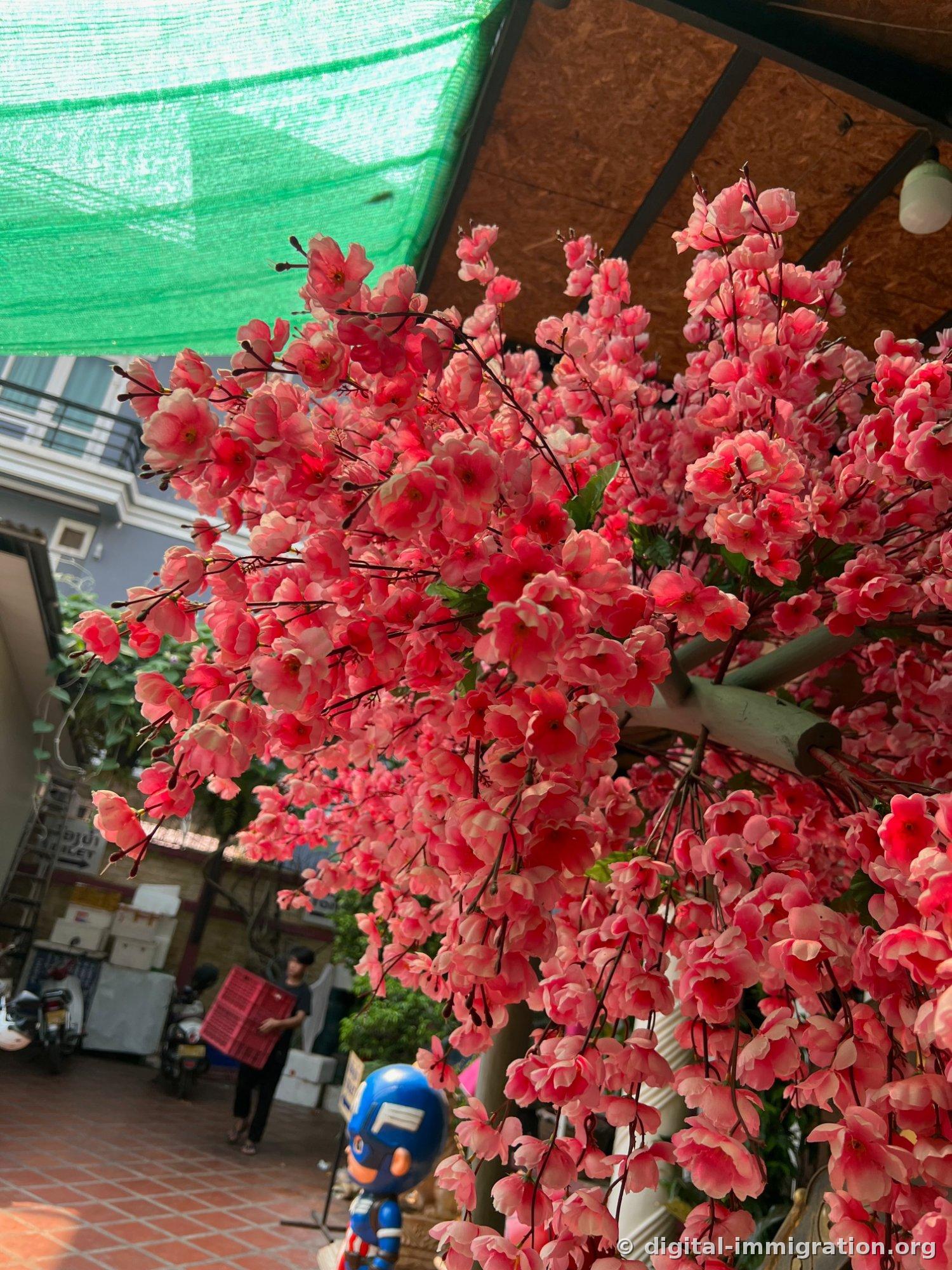 Full view of the Pho Zap courtyard with a pink artificial cherry blossom tree standing under a green shade cloth and red tiled ground, with motorcycles and a staff member holding a menu board visible in the background