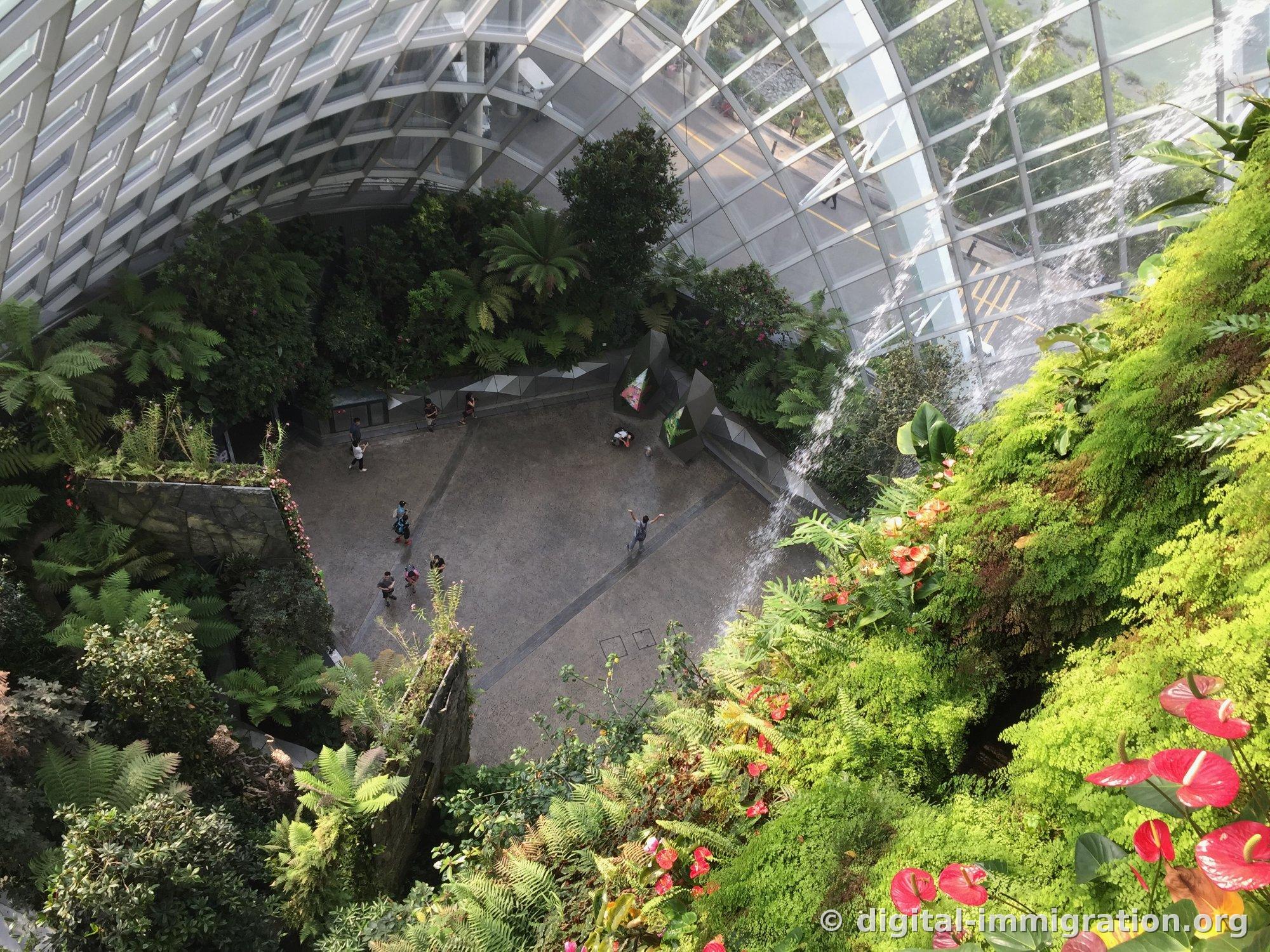 The plaza below as seen from the upper level of the Cloud Forest with fern forest, a falling waterfall on the right and red anthuriums