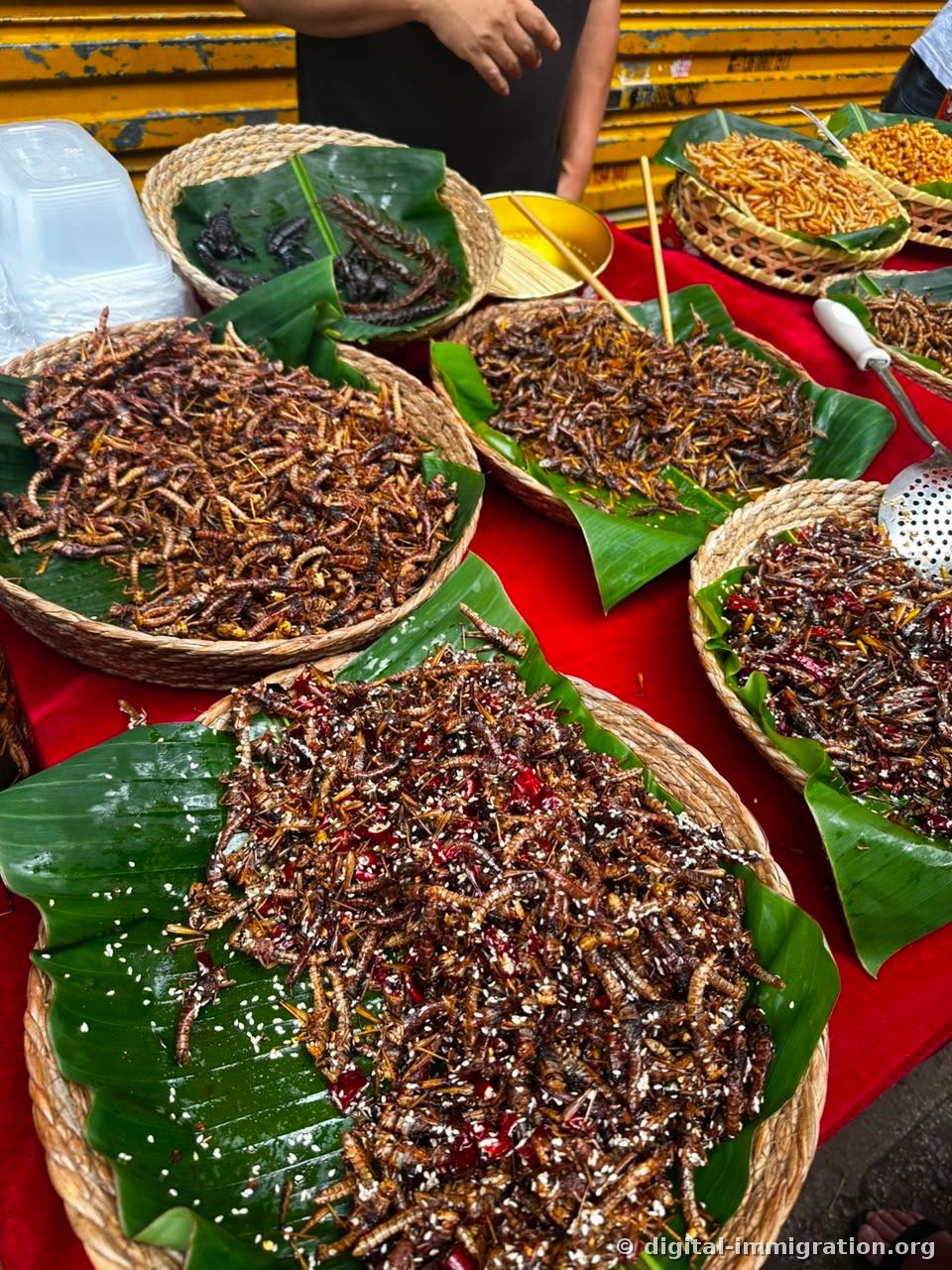 Several bamboo trays on red cloth holding fried mealworms, grasshoppers, bamboo worms, and insects tossed with dried chilies and sesame seeds