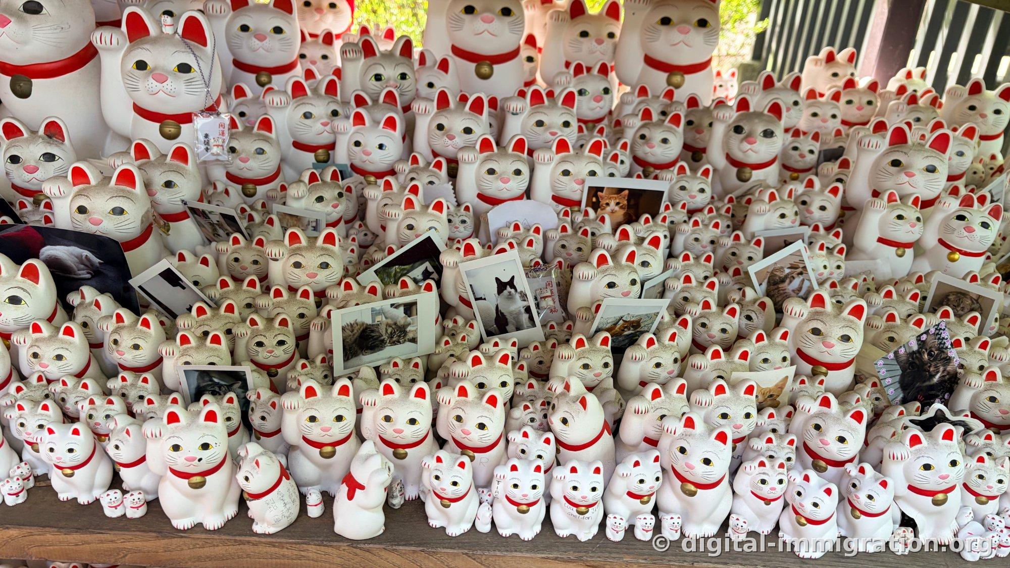 Polaroid photos of actual pet cats are propped among hundreds of beckoning cat figurines