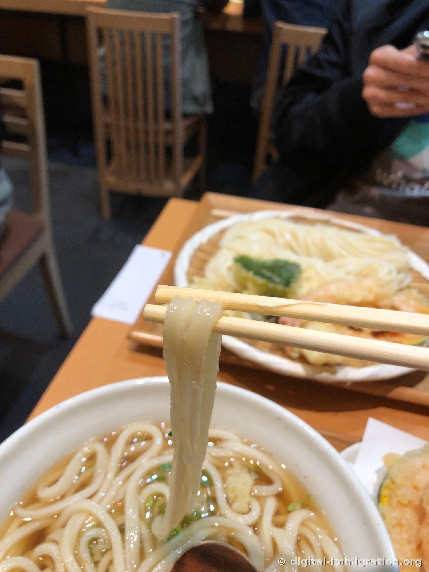 箸で出汁から持ち上げた太く幅広いうどん麺、奥のテーブルには竹のザルに盛られた冷たいうどんと揚げ物の皿が置かれている