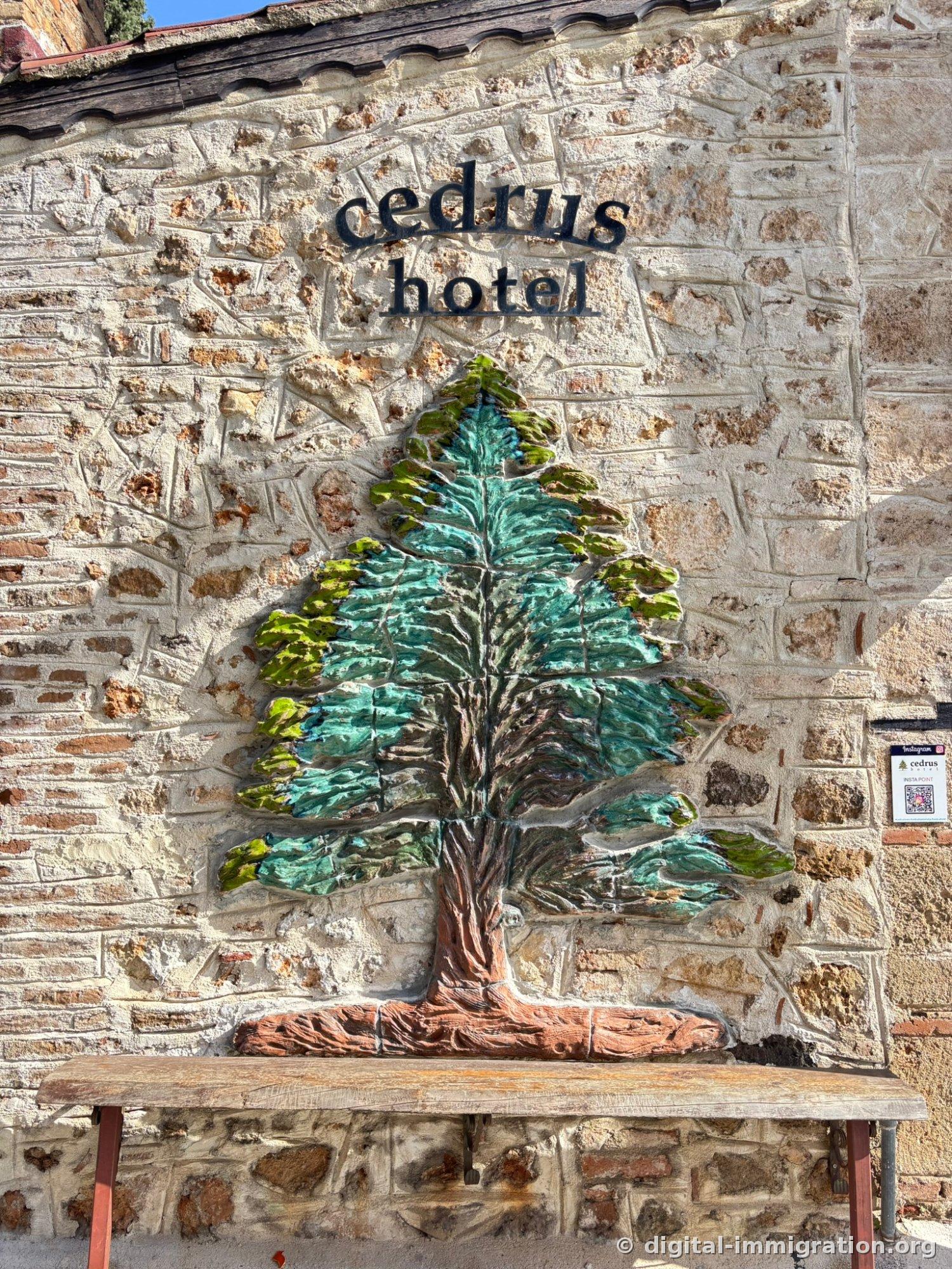 Mur de calcaire ancien avec les lettres noires métalliques 'cedrus hotel' et en dessous un grand relief en carrelage bleu-vert de cèdre. En bas, un banc en bois