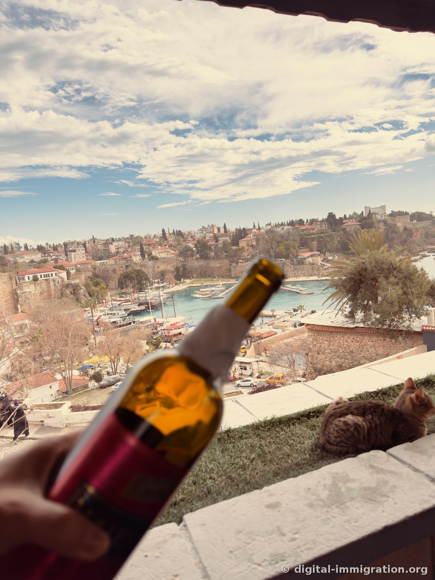 A wine bottle in hand with the Antalya harbor in the background, and two cats sitting on the stone ledge to the right
