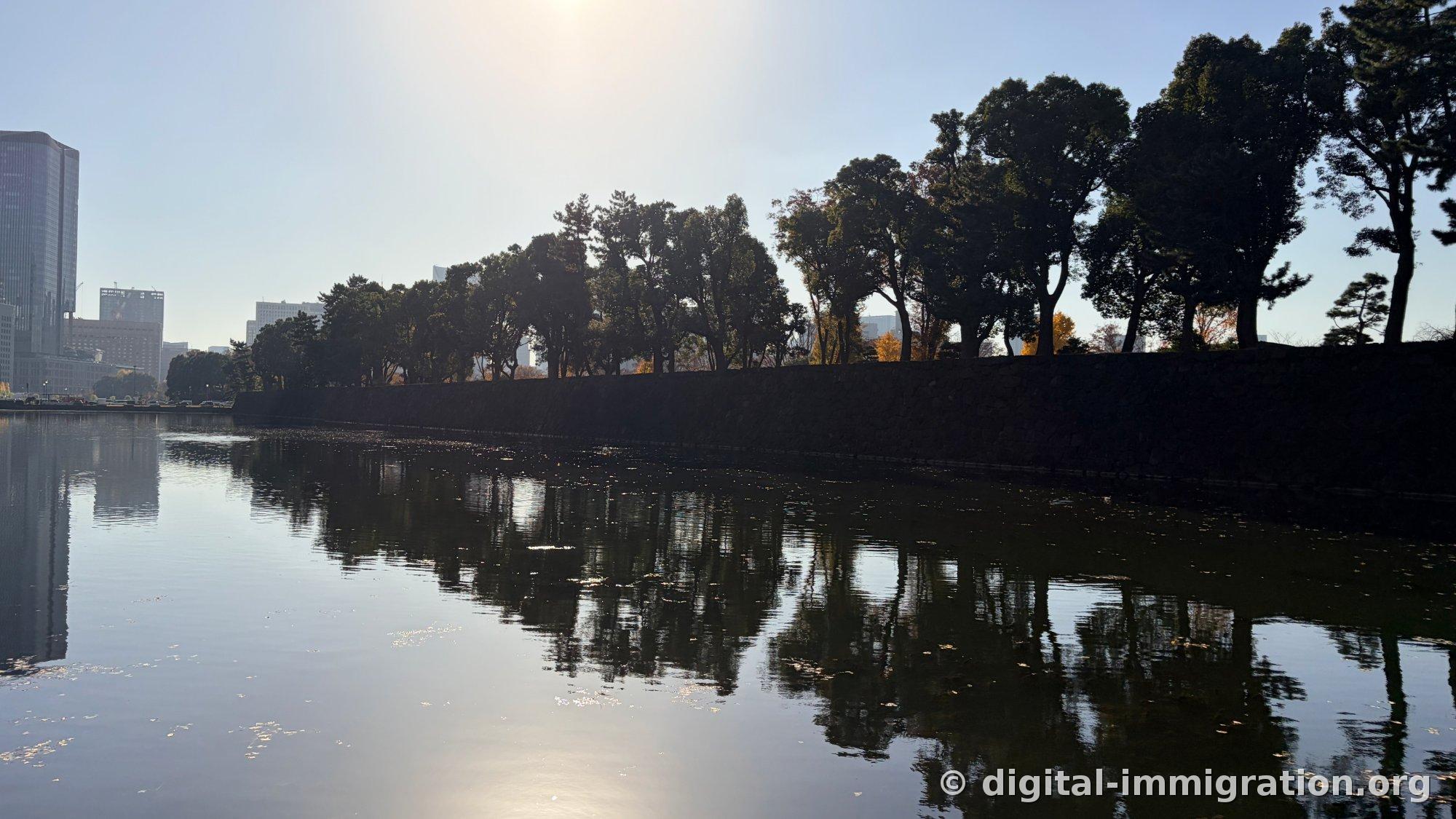 Sous la lumière contre-jour, l'eau de la douve brille en argent et les murailles et arbres forment des silhouettes noires le matin