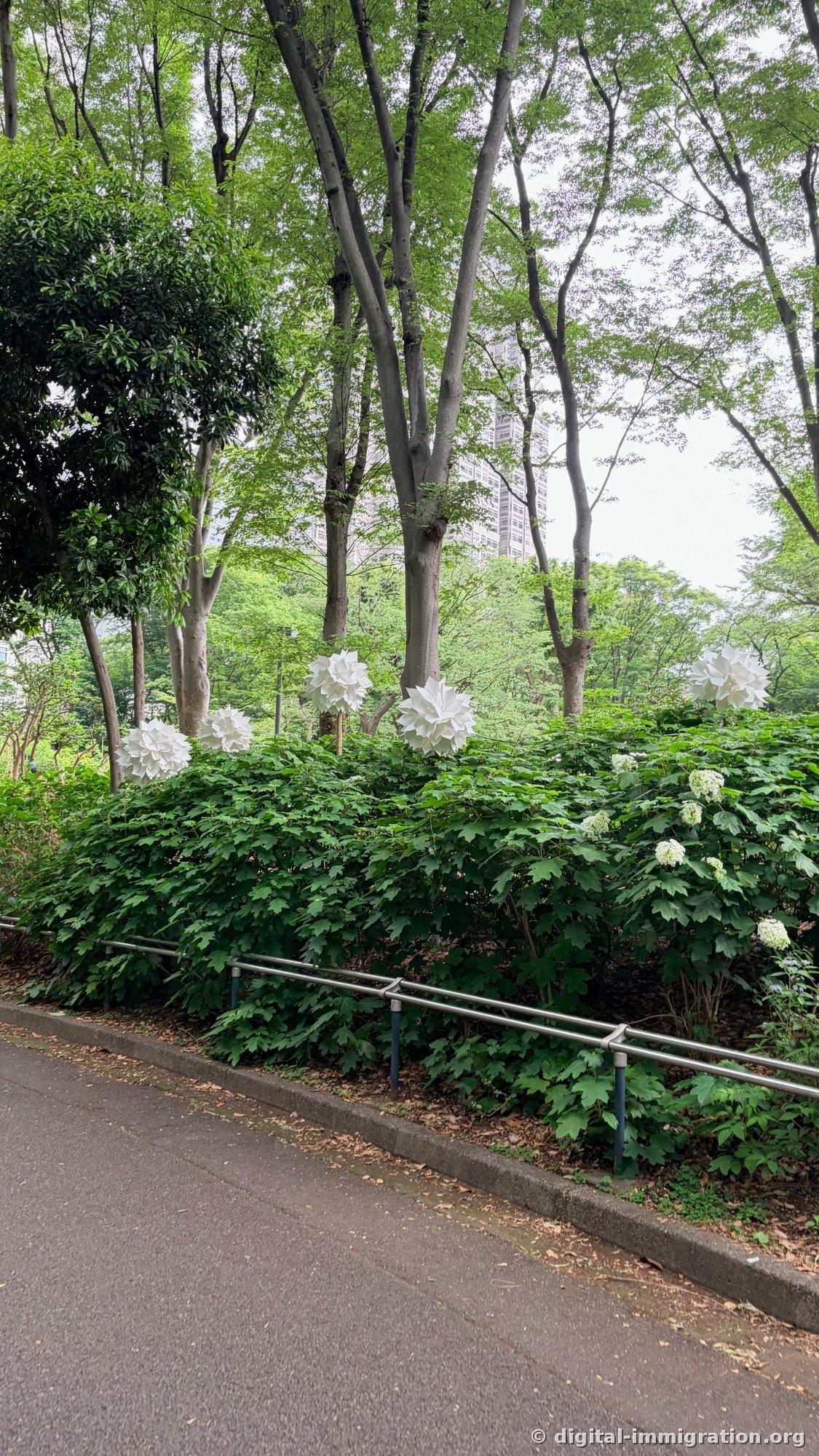 Sculptures de fleurs blanches érigées entre les arbustes d'hortensia le long du sentier et bâtiments hauts visibles à travers les arbres