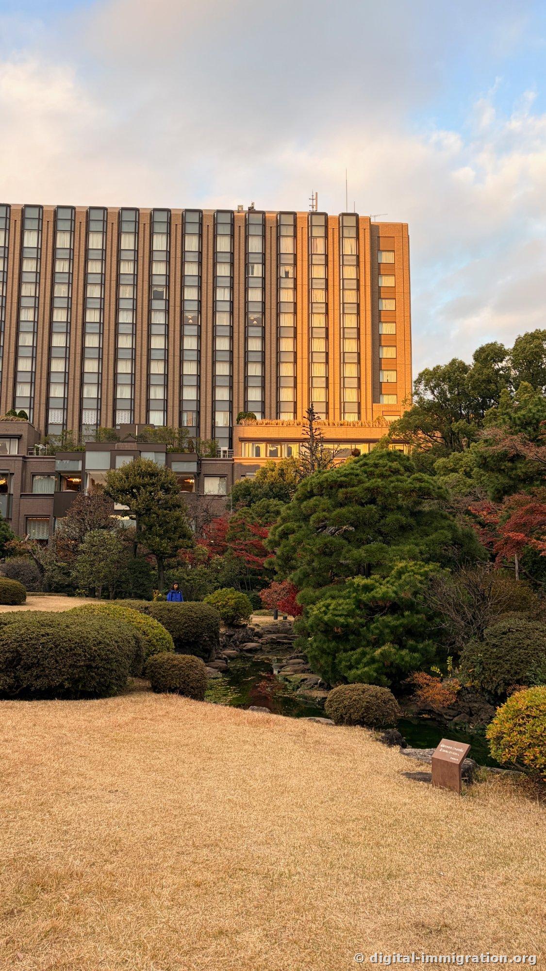 庭园外面被夕阳照亮的大型曲线建筑和下面的池塘，松树