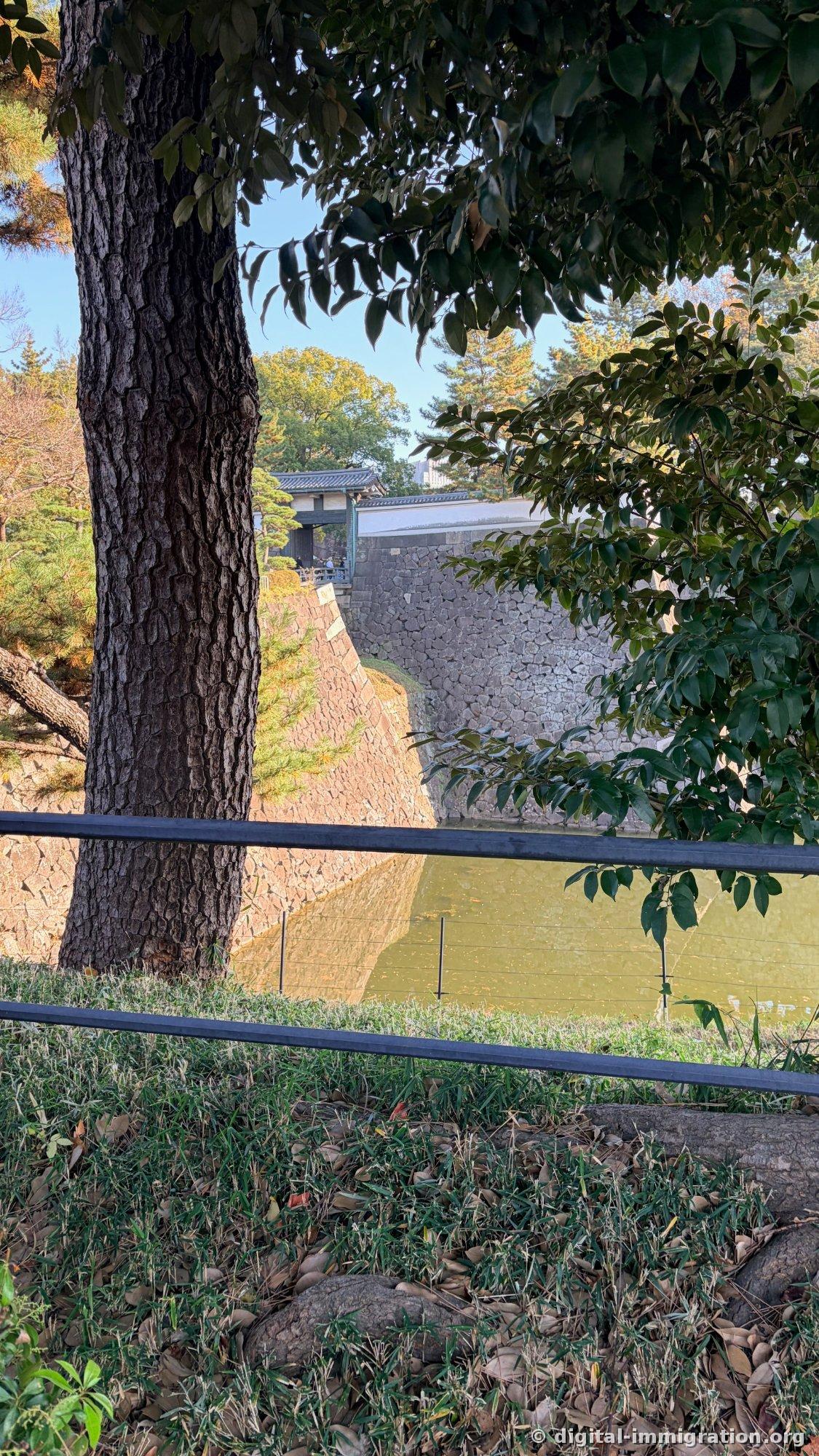 Entre les grands troncs et feuilles, on voit la douve, le mur en pierre et une petite porte au loin, avec une balustrade en fer noir devant