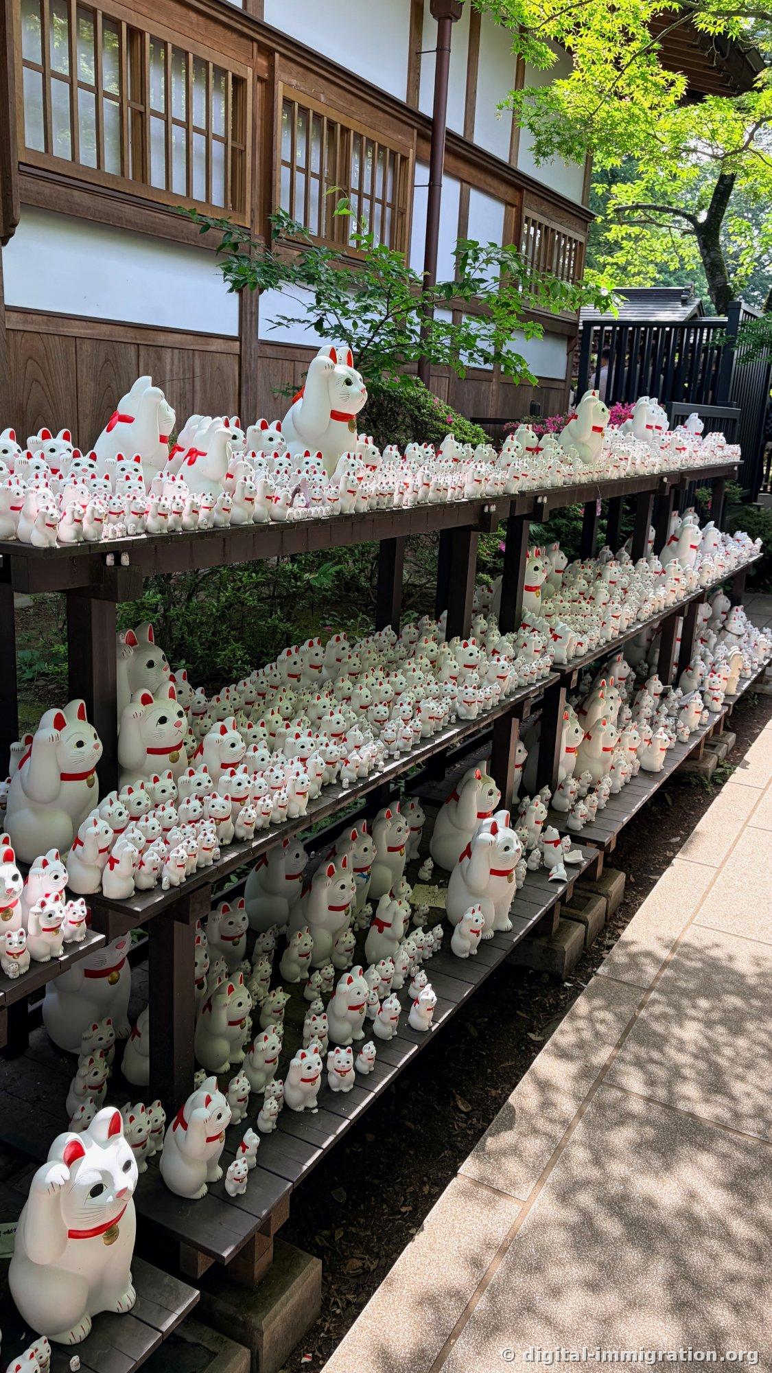 A three-tiered shelf that runs the length of the building wall, holding hundreds of white beckoning cats with the shadow of maple leaves overhead