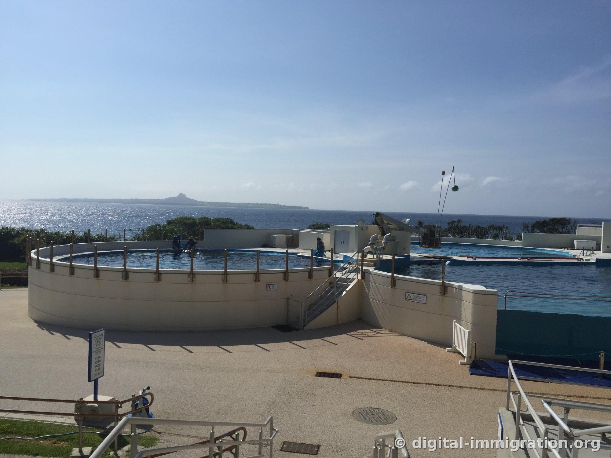 室内通道立着实物大小的鲸鲨嘴巴模型，张开的嘴里能看到密集的滤板，前面推着婴儿车的人站着