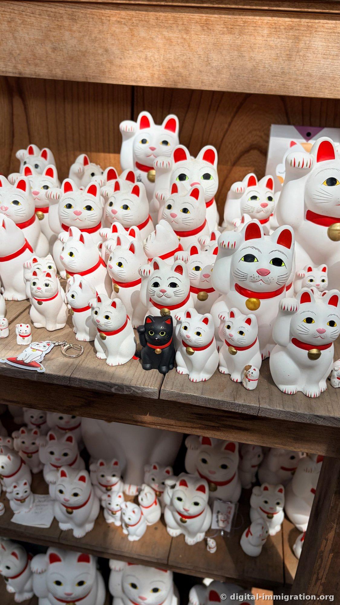 White beckoning cat figurines arranged by size on wooden shelves, with one black cat and a keychain mixed among them