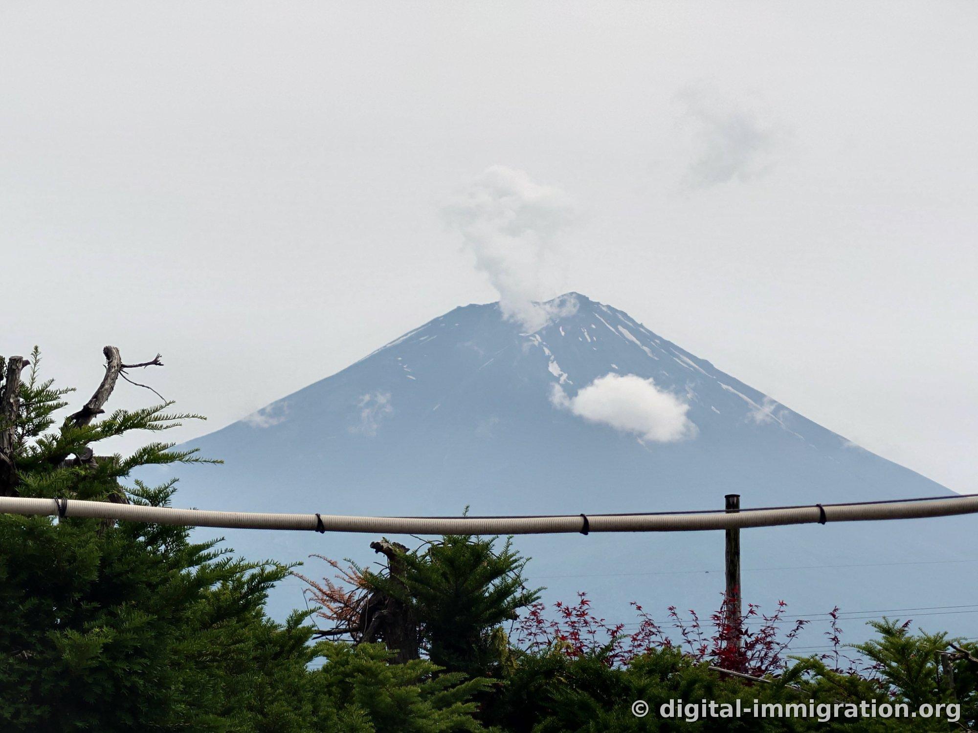Mount Fuji with clouds rising from its peak beyond coniferous trees and red maples, with power lines in the foreground