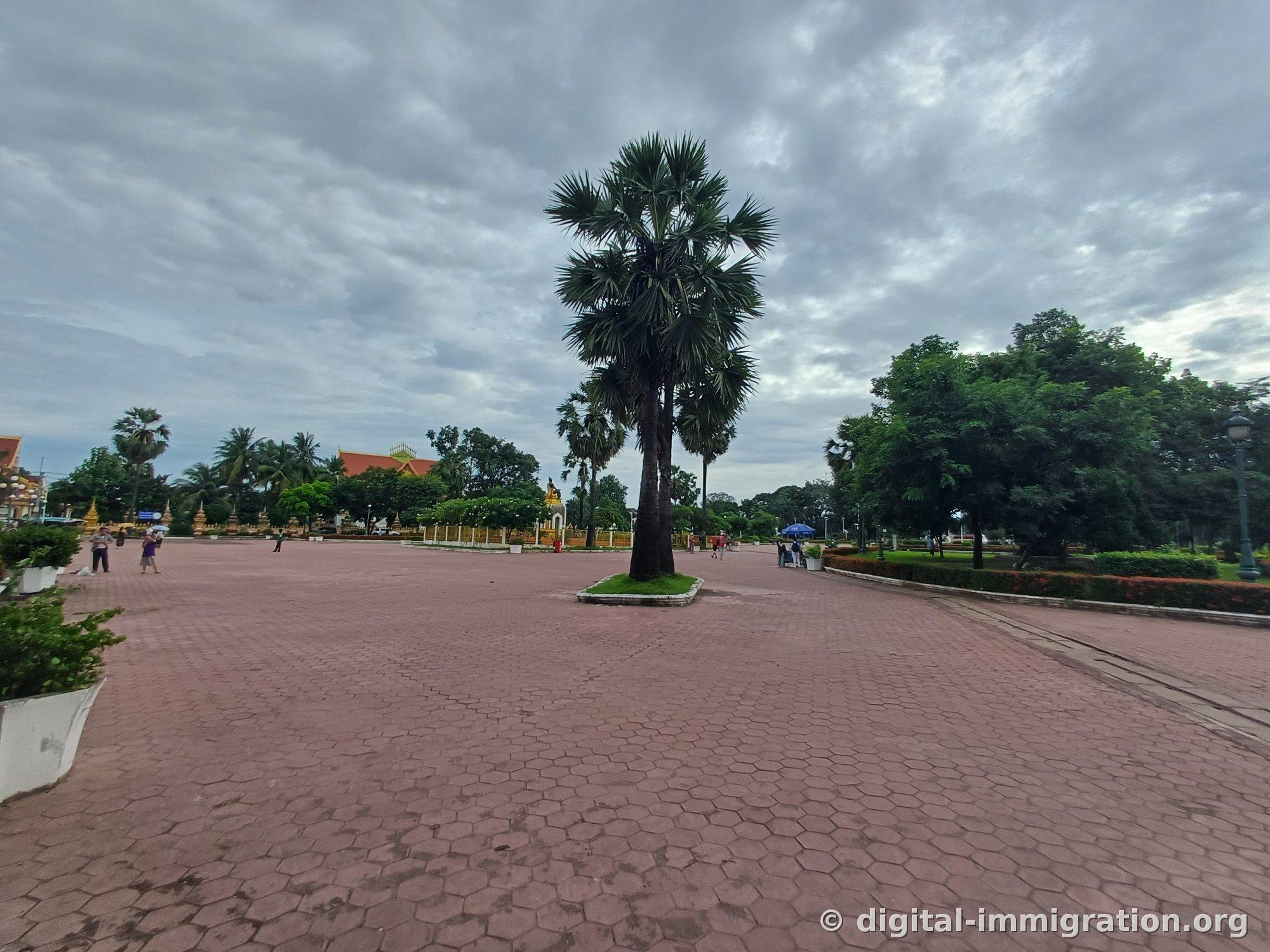 Wide red hexagonal-block plaza with a single palm tree in the center and scattered people walking