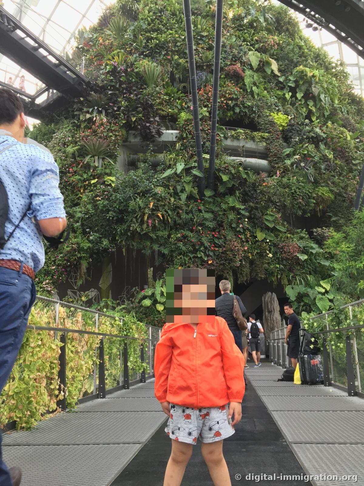 A child in an orange windbreaker standing on the bridge with a green plant wall as the background, with other visitors passing by