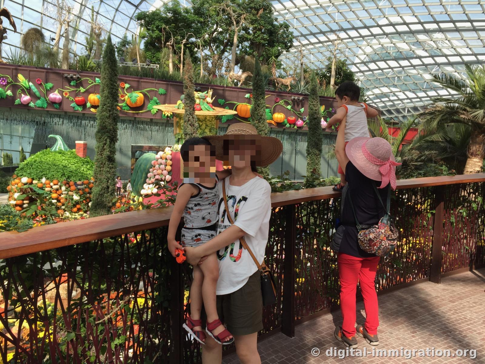 An adult holding a child in front of the wooden railing, with the vegetable wall and pumpkin sculptures visible behind in the Flower Dome exhibition area