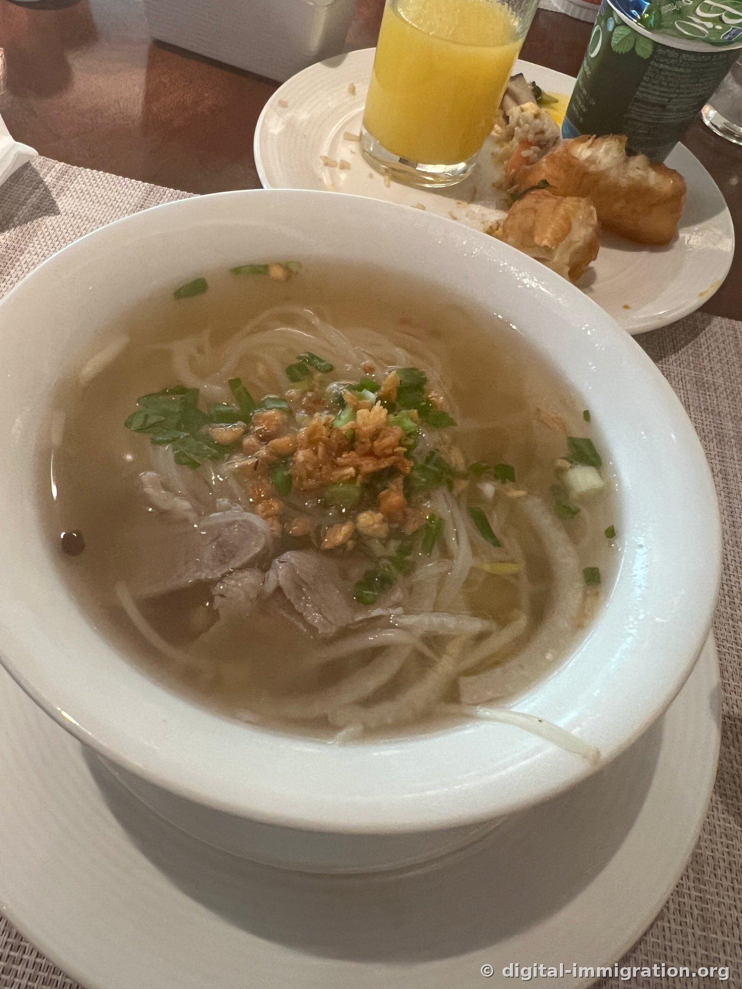 Bol de nouilles de riz laotiennes dans un bouillon clair avec tranches de porc cuites, germes de soja, ail frit, oignon vert et coriandre