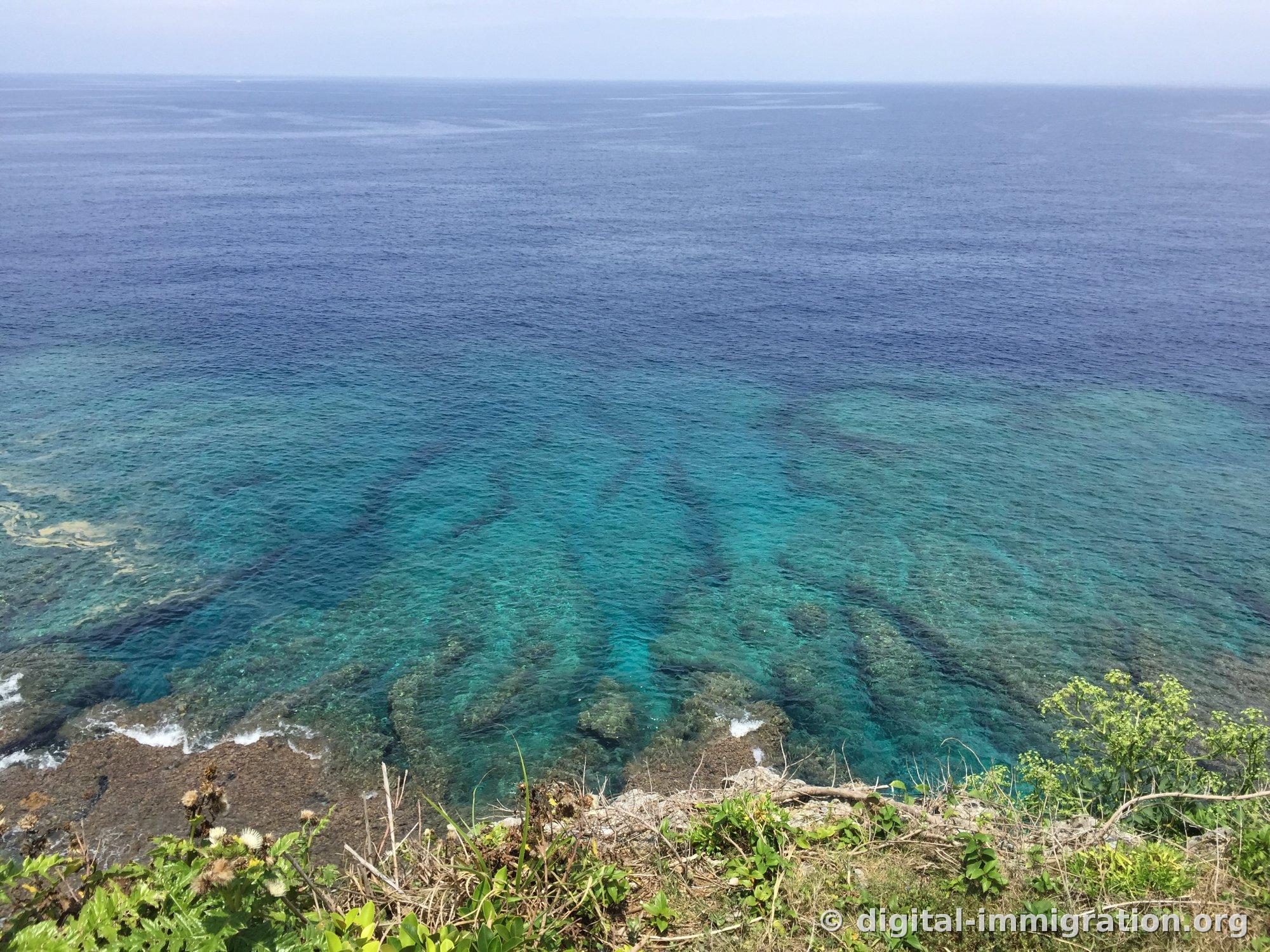 万座毛の断崖の上から見下ろした海。浅いサンゴ地帯はエメラルド色、深いところは濃紺で明確に分かれており、下の方には雑草と枯れ枝がある