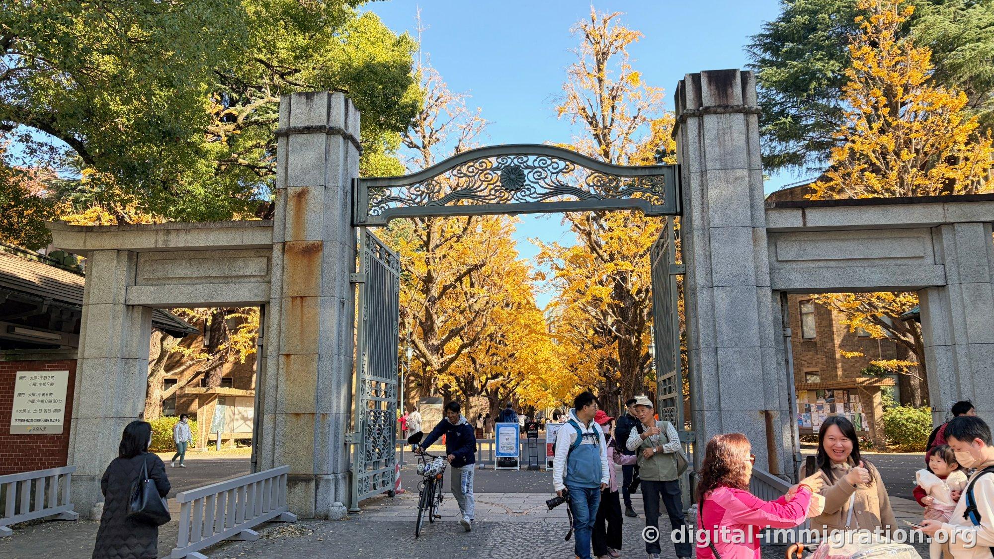 The main gate arch becomes a perfect frame, with granite columns and an iron decorative gate opening to a golden ginkgo avenue, tourists gathered taking photos
