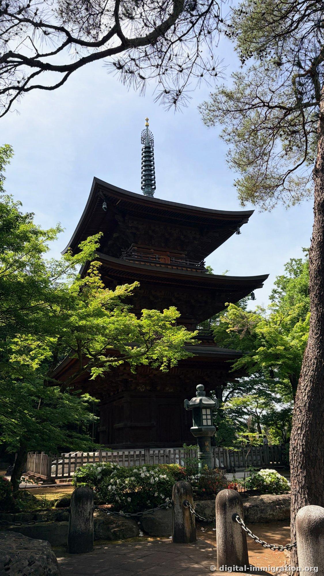Gotokuji's three-tiered pagoda seen through pine branches, with wind bells hanging from the eaves