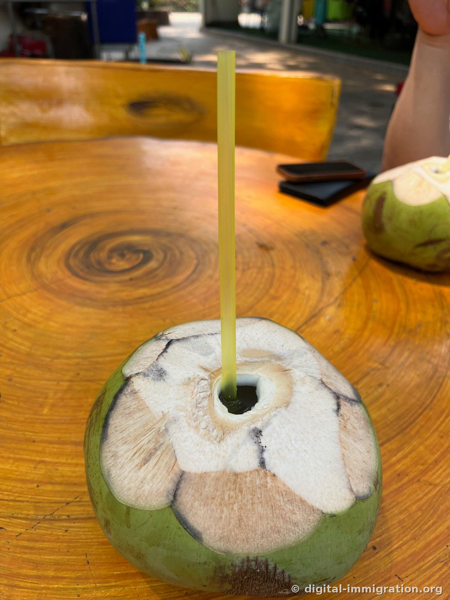 Une noix de coco verte avec une paille plantée dessus sur une table en bois, une autre noix de coco pelée posée à côté