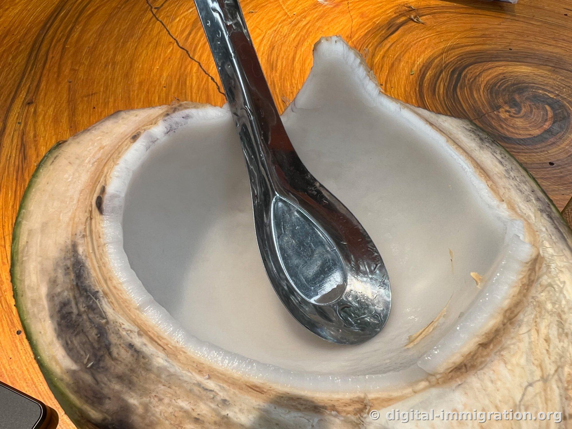 L'intérieur blanc et mou d'une noix de coco coupée en deux avec une cuillère en métal posée dessus