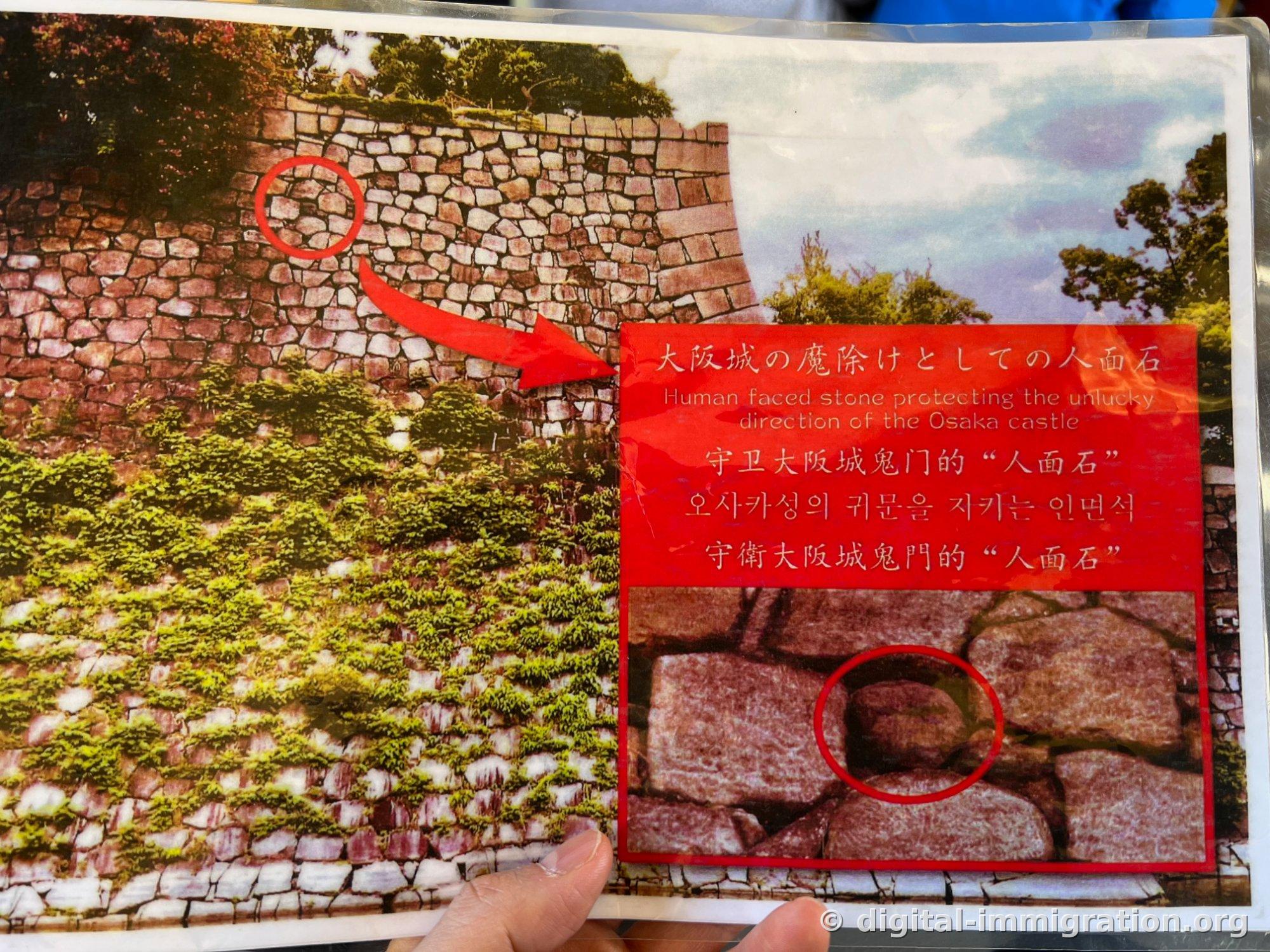 Document plastifié d'explication Ninmen-seki tenu par un guide. Une photo du mur de pierre avec un cercle rouge indiquant le Ninmen-seki gardant la porte maudite du château d'Osaka avec explication en coréen