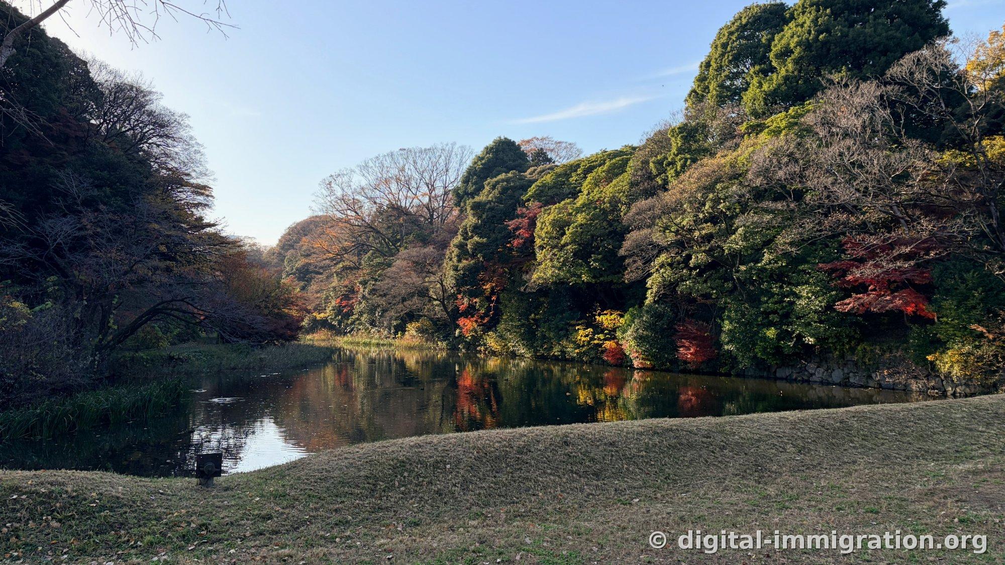 Un étang avec des roseaux et l'autre rive avec une forêt d'automne en vert, orange et rouge se reflétant parfaitement dans l'eau