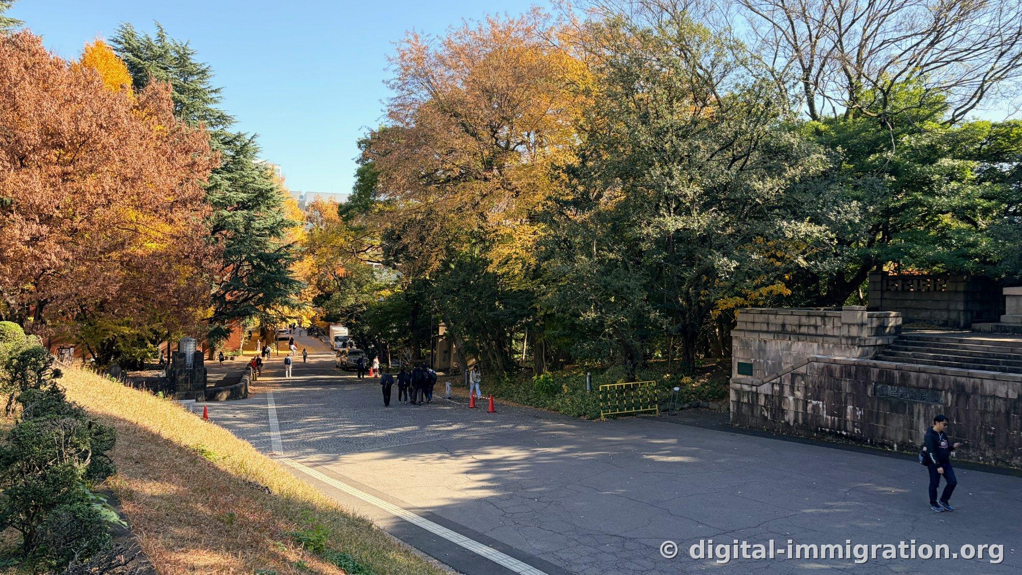 A wide road within campus, old stone-stepped stairs on the right, hillside with a mix of dried brown and green trees