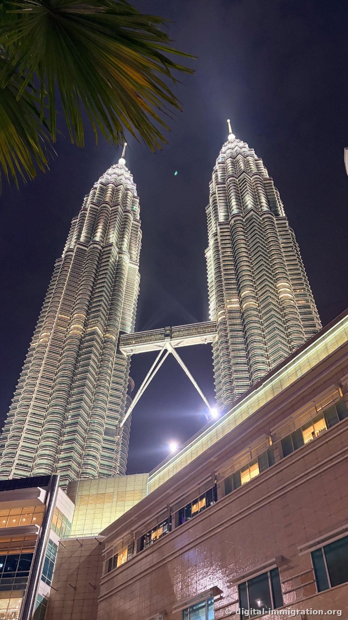 Looking up at the illuminated Petronas Twin Towers through palm fronds at night. The Skybridge and V-shaped support are also lit, with the Suria KLCC building's windows visible below.