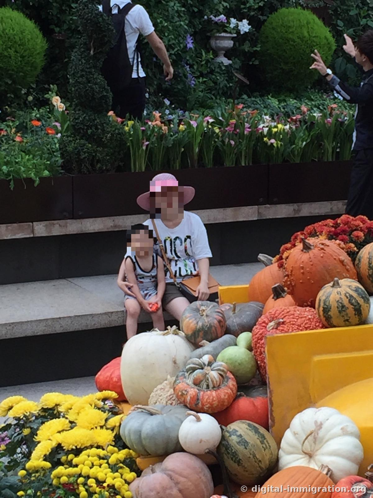 An adult and child sitting on low steps next to the pumpkin pile, with calla lilies and various colored flowers blooming in the flowerbed behind